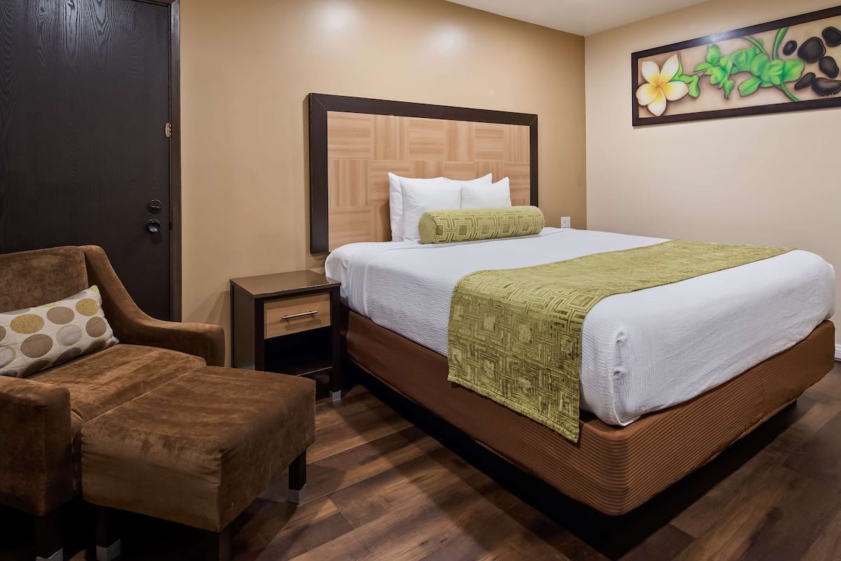 Standard Room, 1 Queen Bed, Accessible, Refrigerator & Microwave | Desk, blackout drapes, iron/ironing board, free cribs/infant beds