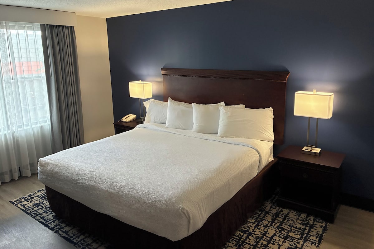Deluxe Suite, 1 Bedroom | 1 bedroom, desk, blackout drapes, iron/ironing board