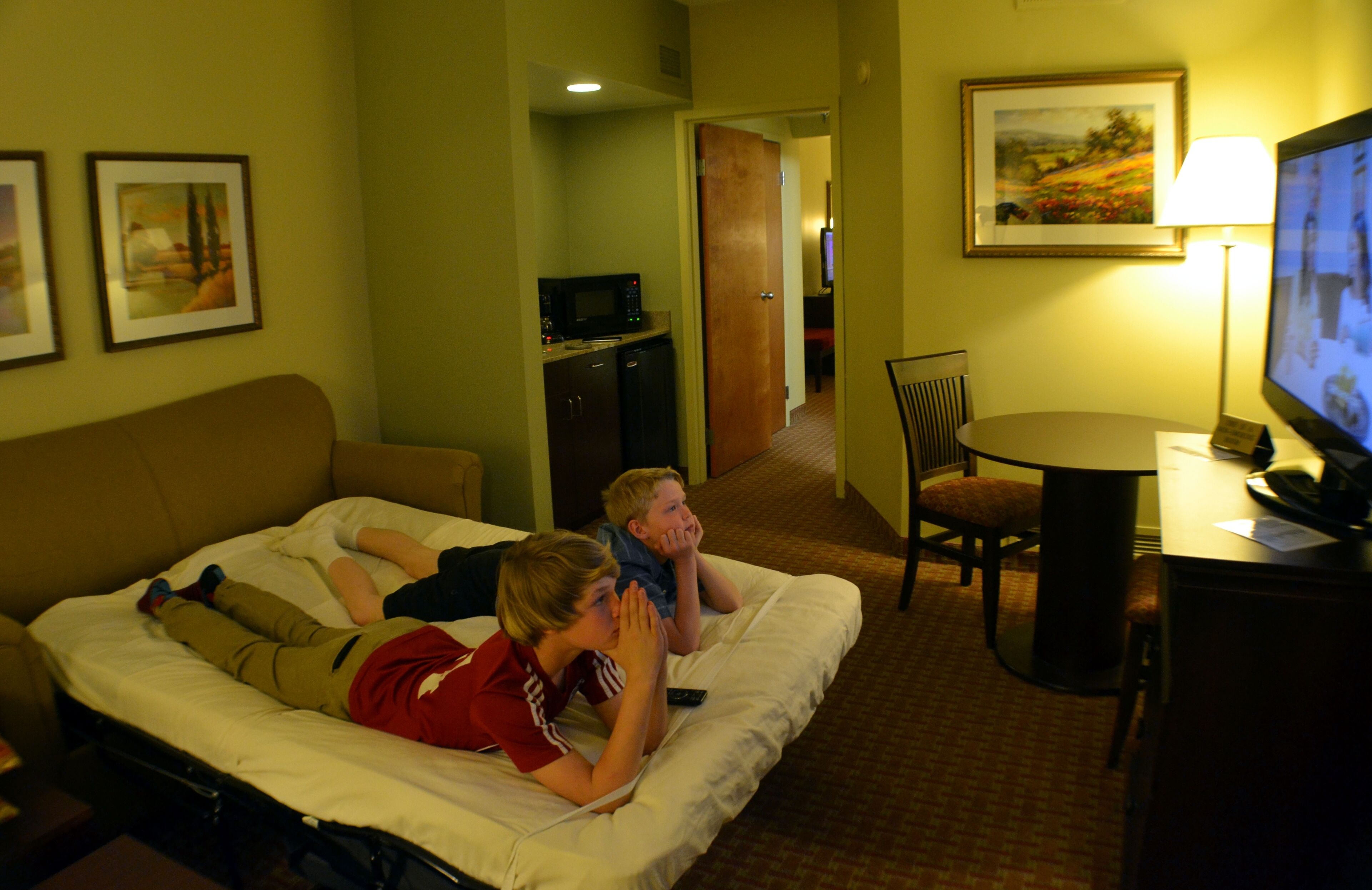 suite, 1 king bed with sofa bed, non smoking | living area | tv