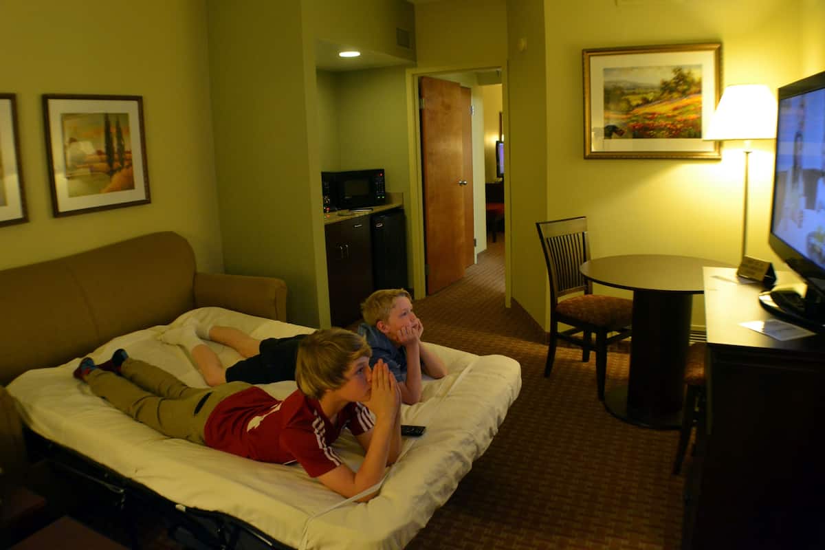 suite, 1 king bed with sofa bed, non smoking | living area | tv