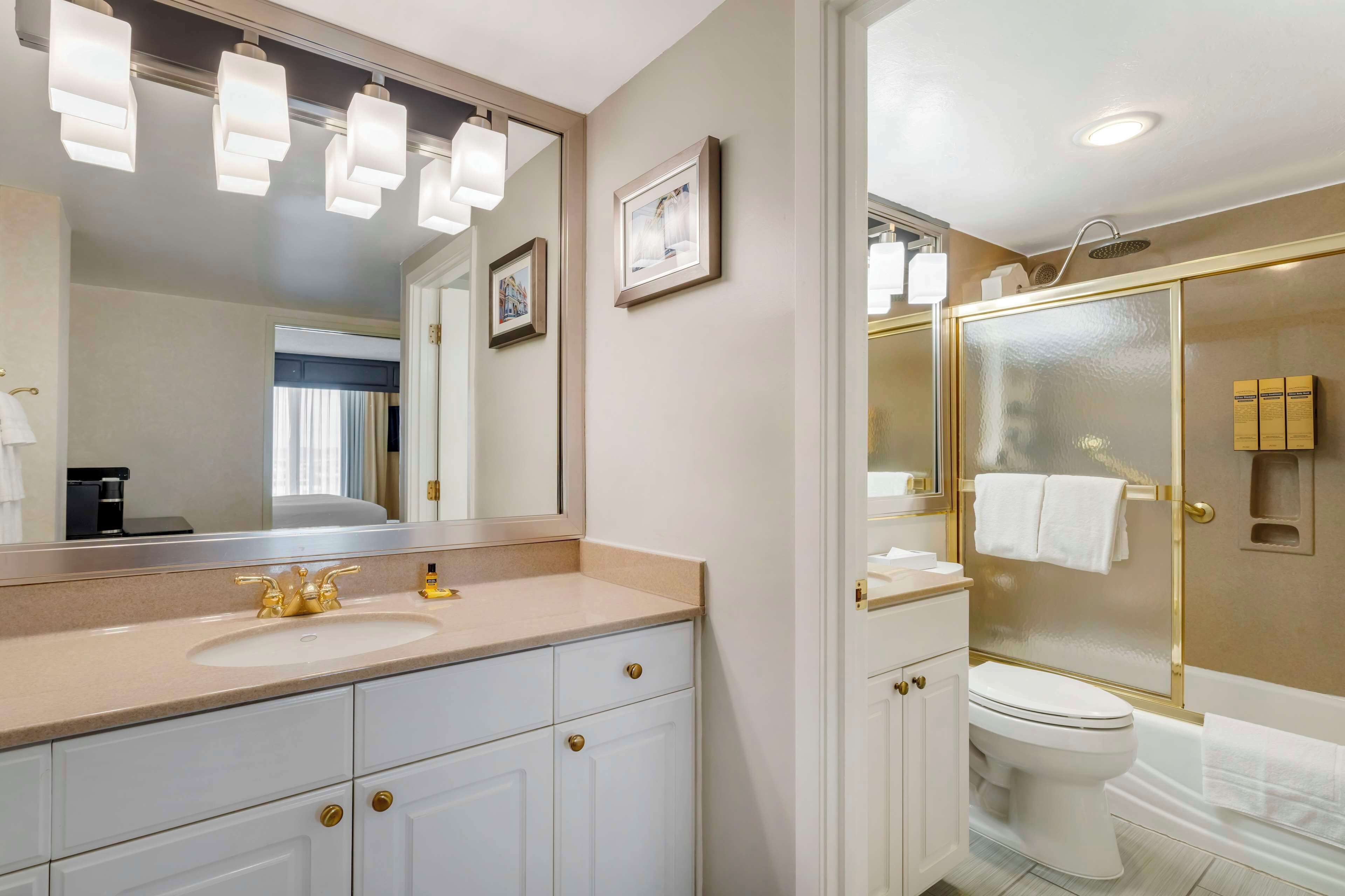 combined shower/bathtub, free toiletries, hair dryer, towels