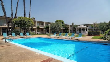 Outdoor pool, pool loungers