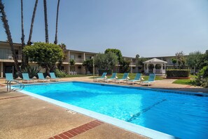 Outdoor pool, sun loungers