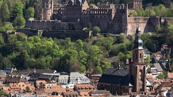 Eine historische Stadt mit einer markanten Burg auf einem Hügel, umgeben von dichtem Grün.