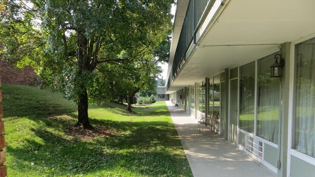 A covered outdoor area with a concrete walkway, large windows, and a tree.