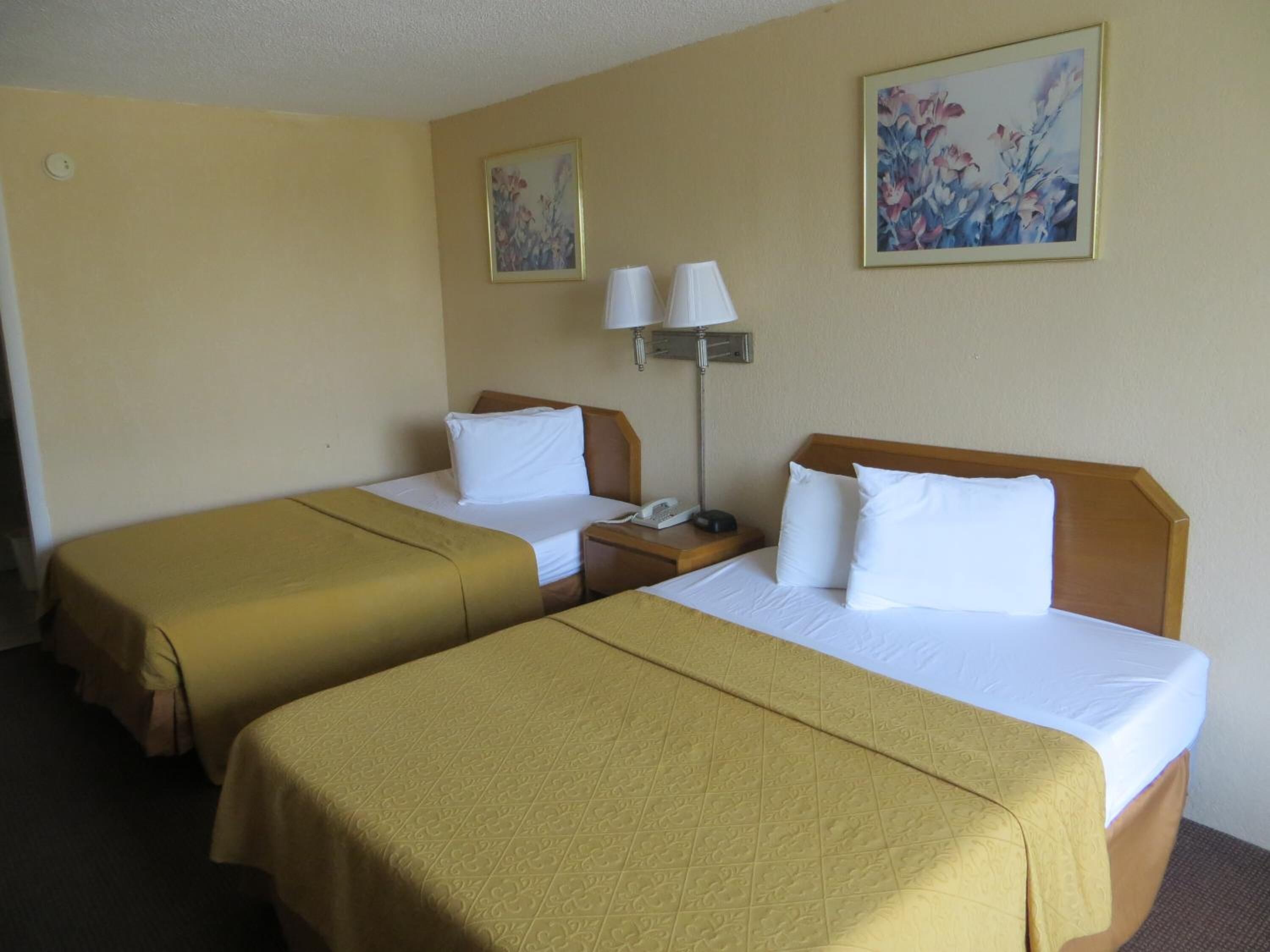 A hotel room with two single beds, a nightstand with a phone and lamp, and two wall-mounted paintings.