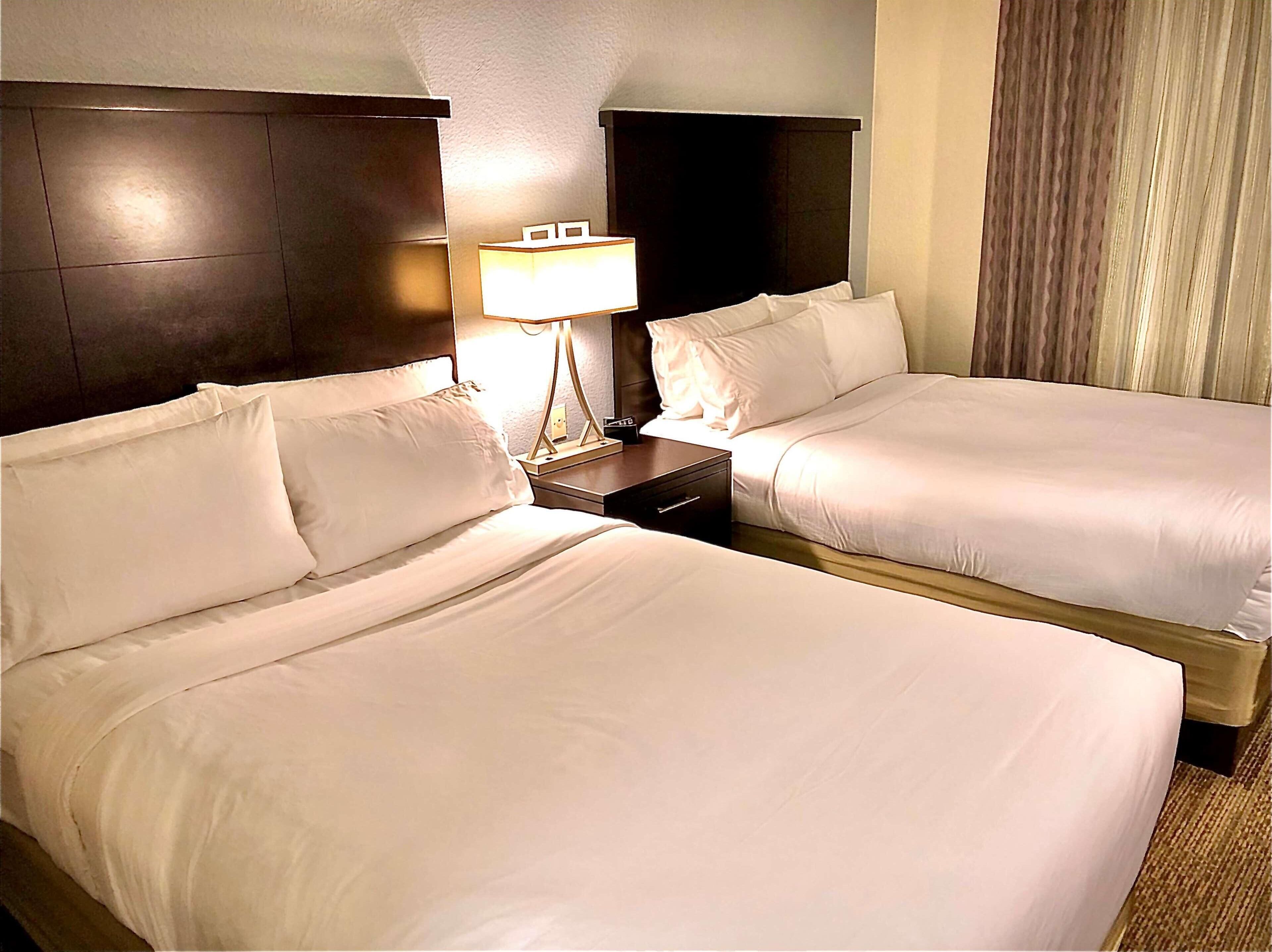 Premium bedding, desk, laptop workspace, blackout drapes