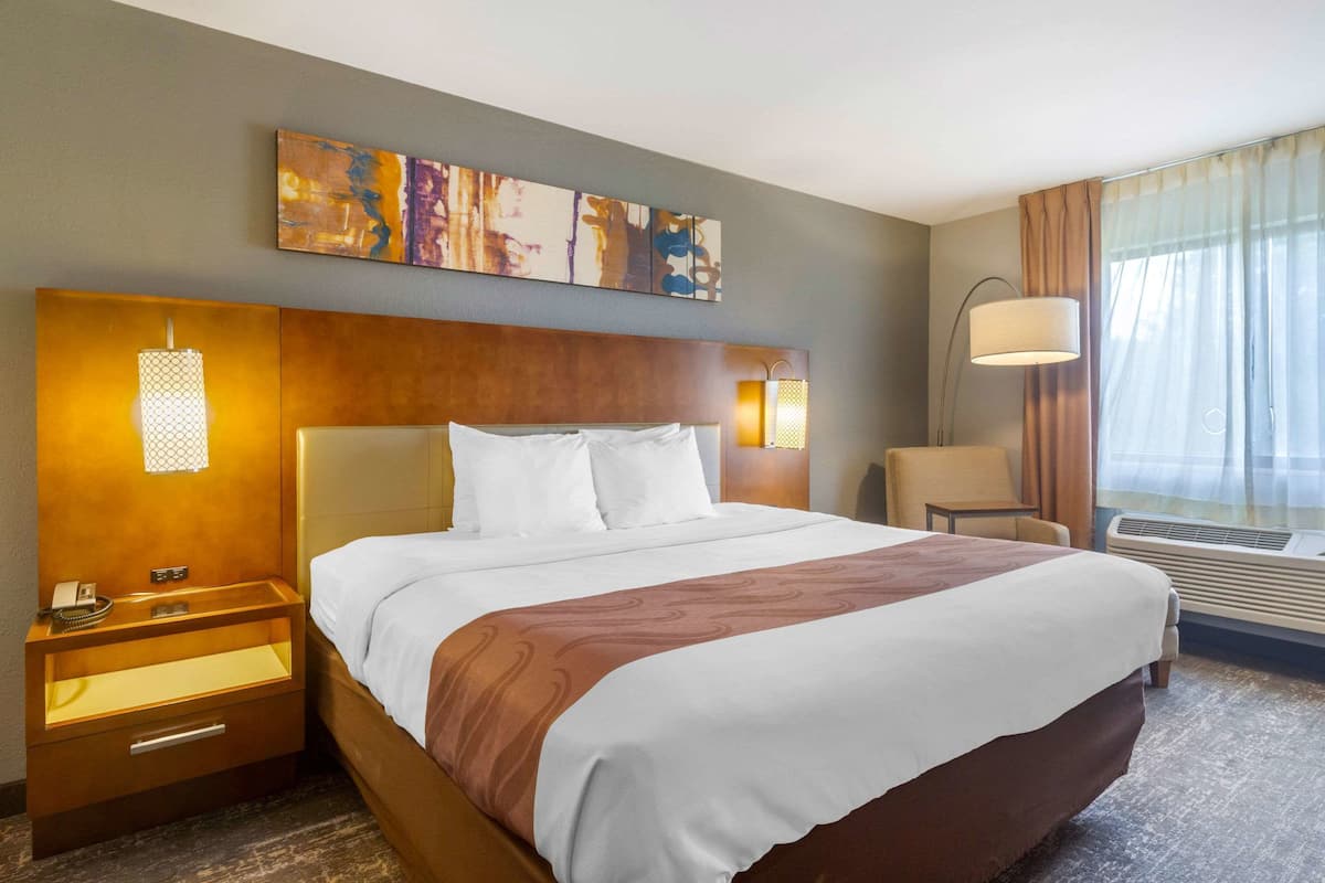 A hotel room with a large bed, a nightstand with a lamp, a chair, and a painting on the wall.