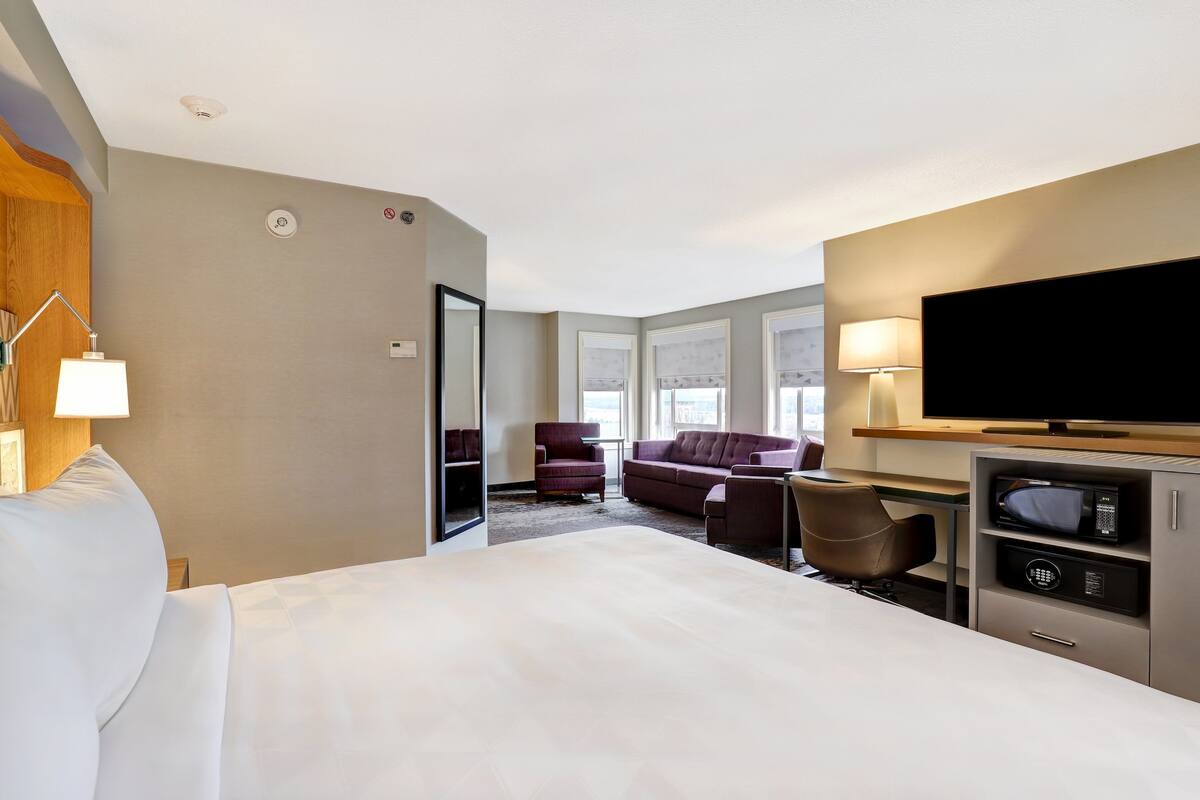 A hotel room with a bed, a sofa, a TV, a desk, and a microwave.