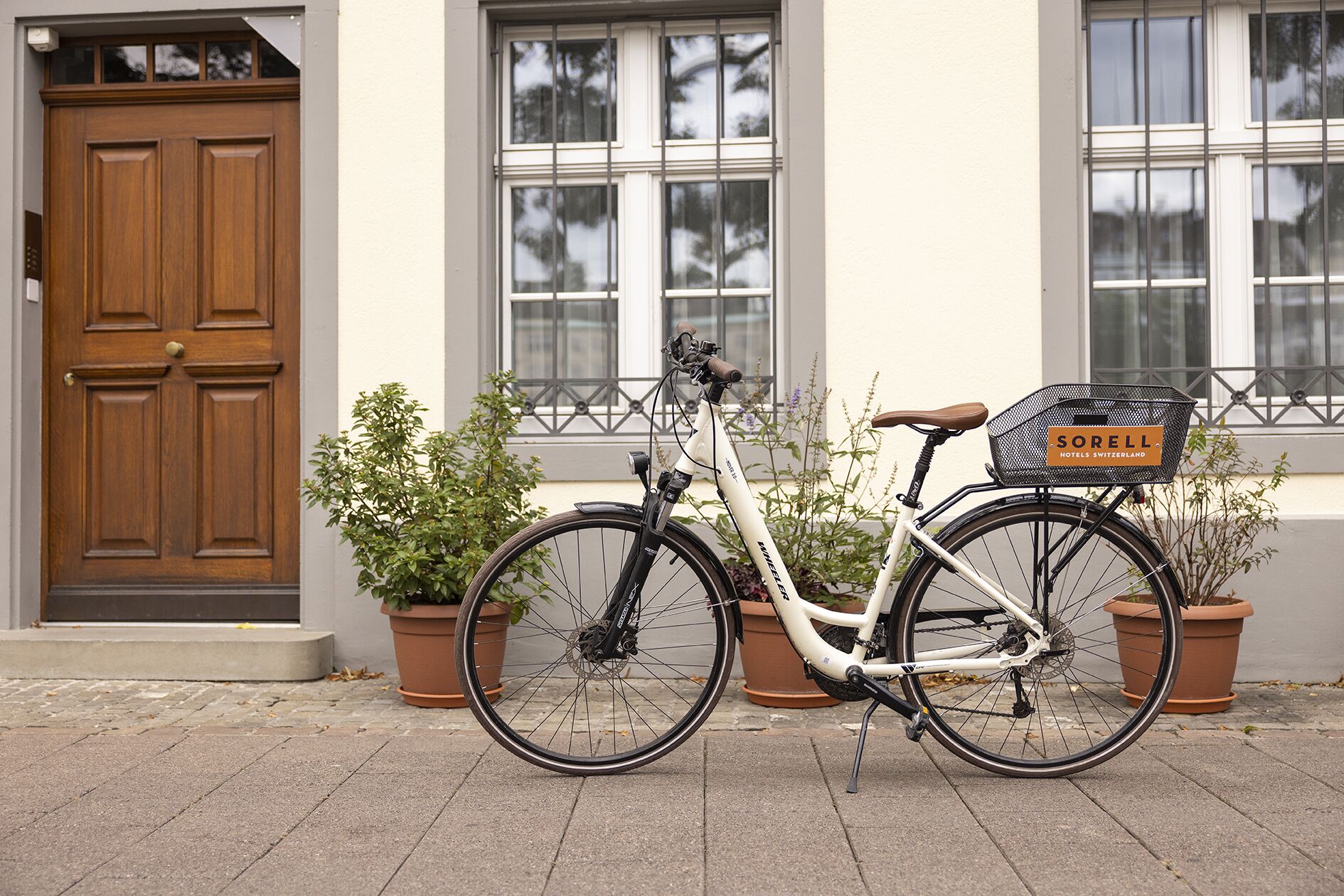 Foto - Merian am Rhein