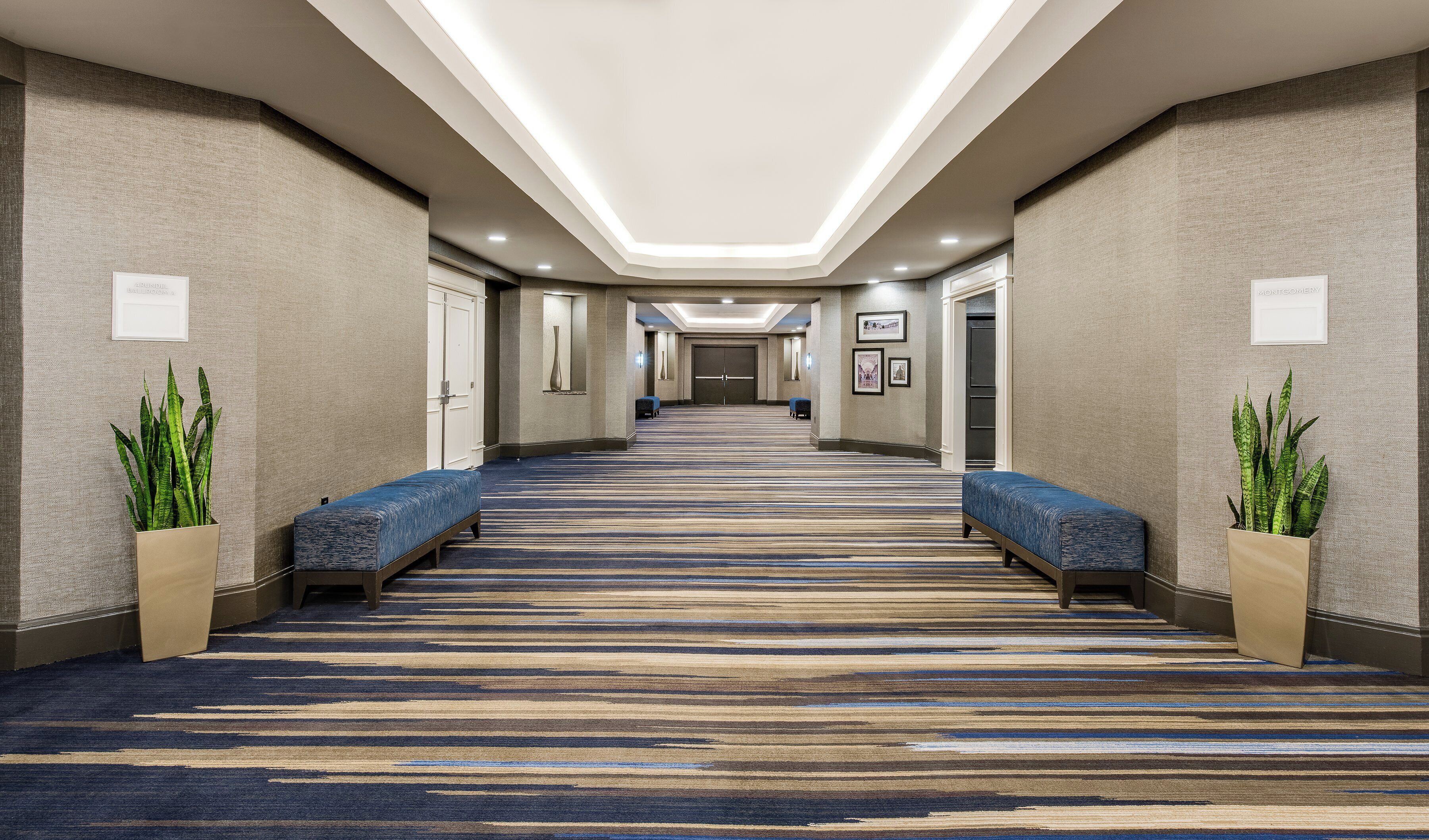 A hotel corridor with a carpeted floor, benches, and potted plants.