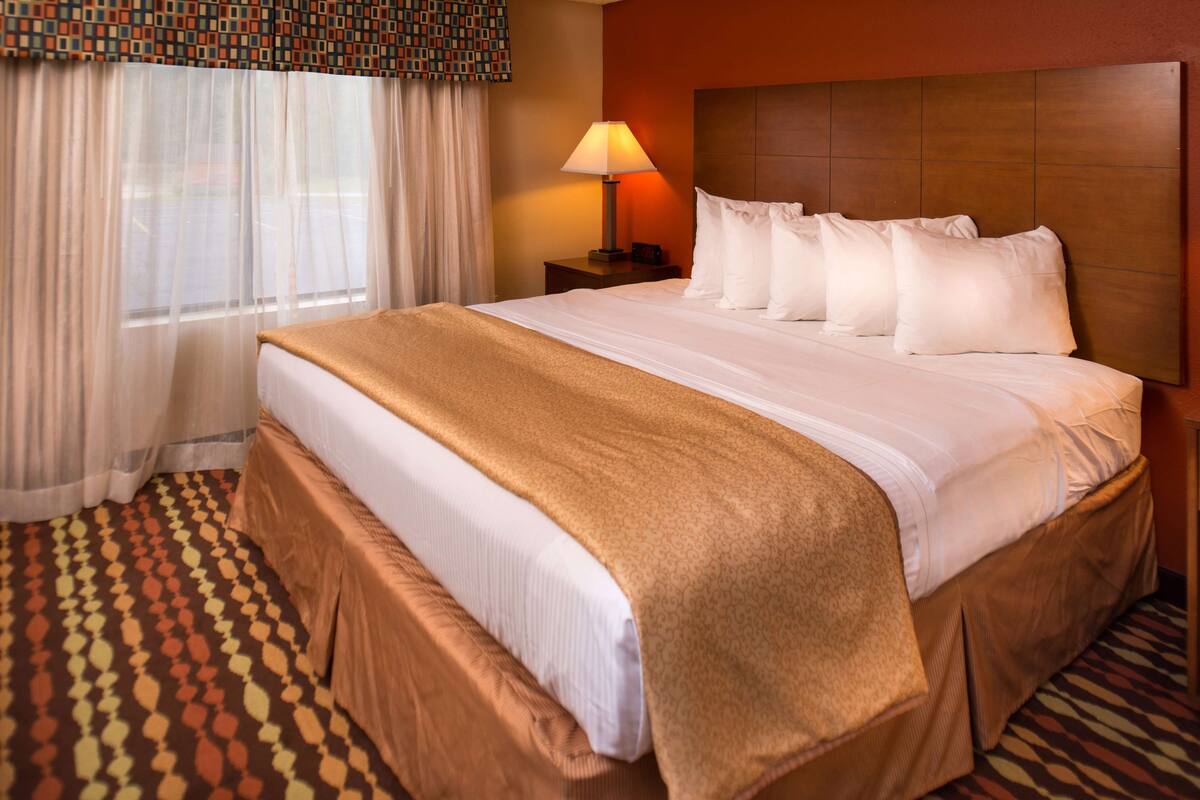 A hotel room with a large bed, a nightstand with a lamp, a patterned carpet, and a window with sheer curtains.