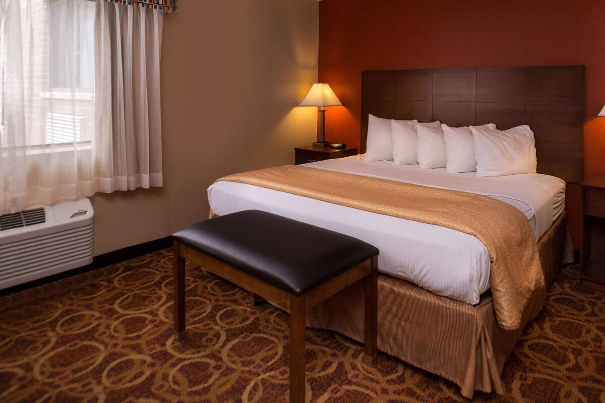 A hotel room with a large bed, a bedside table with a lamp, a bench, and a patterned carpet.