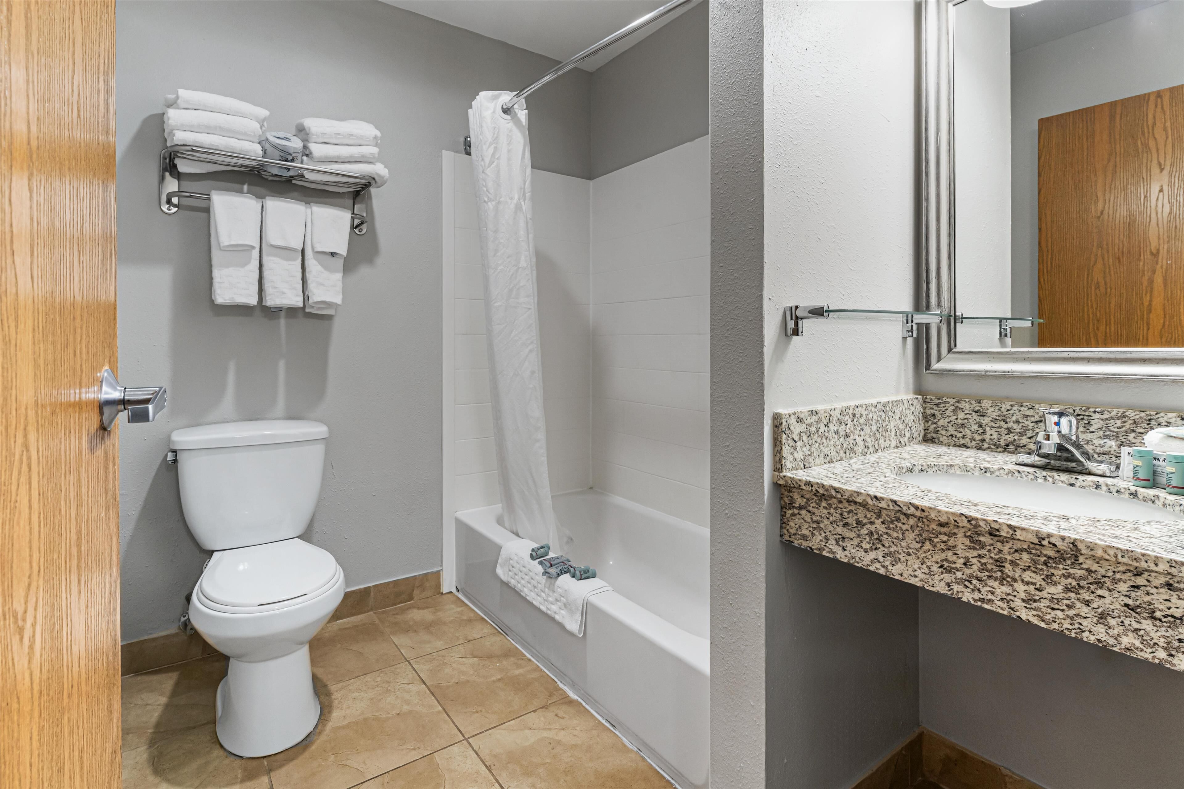 Une salle de bain comprenant des toilettes, une douche avec un rideau, un lavabo avec un plan de travail en granit et un miroir.