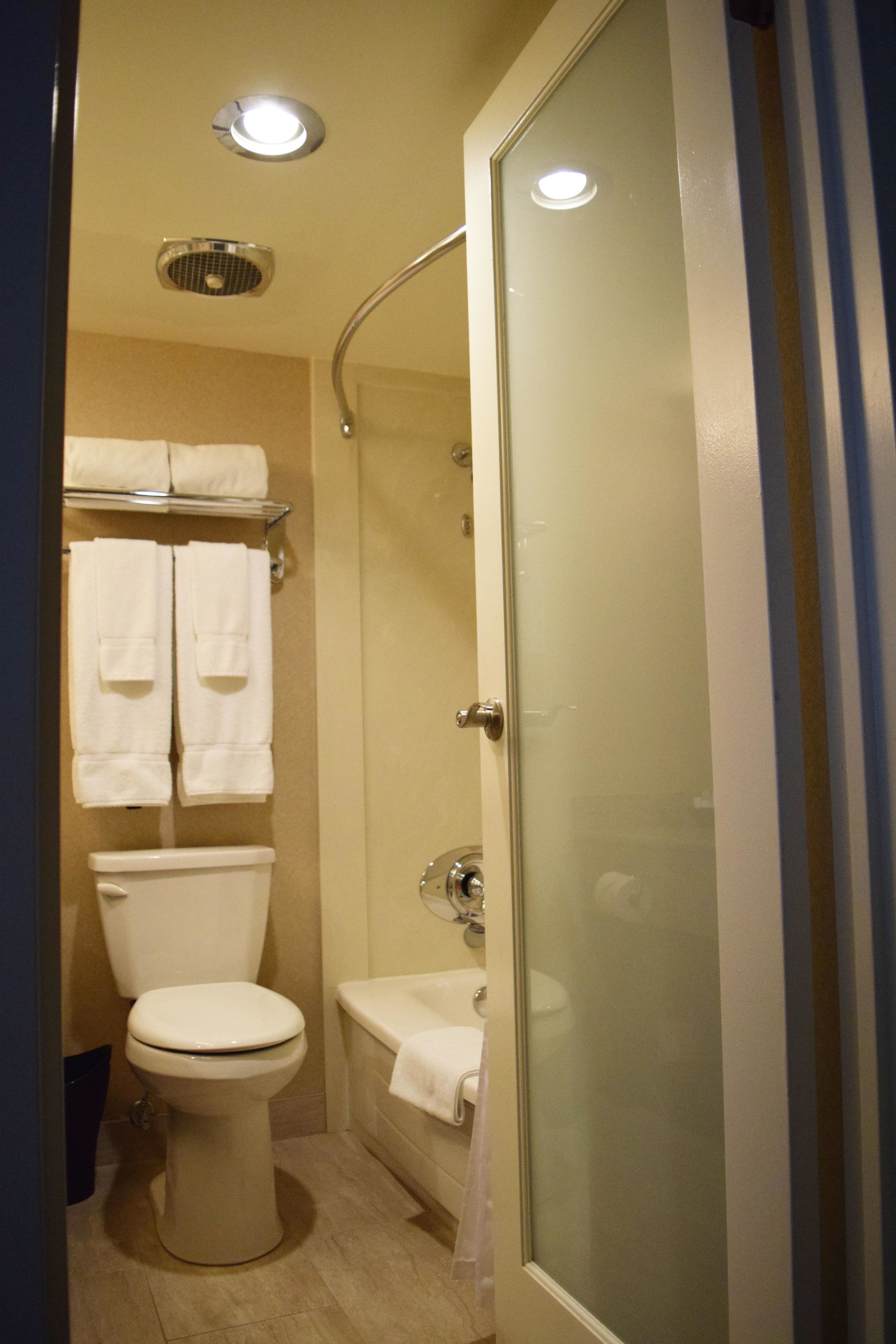superior suite | bathroom | combined shower/bathtub, designer toiletries, hair dryer, towels