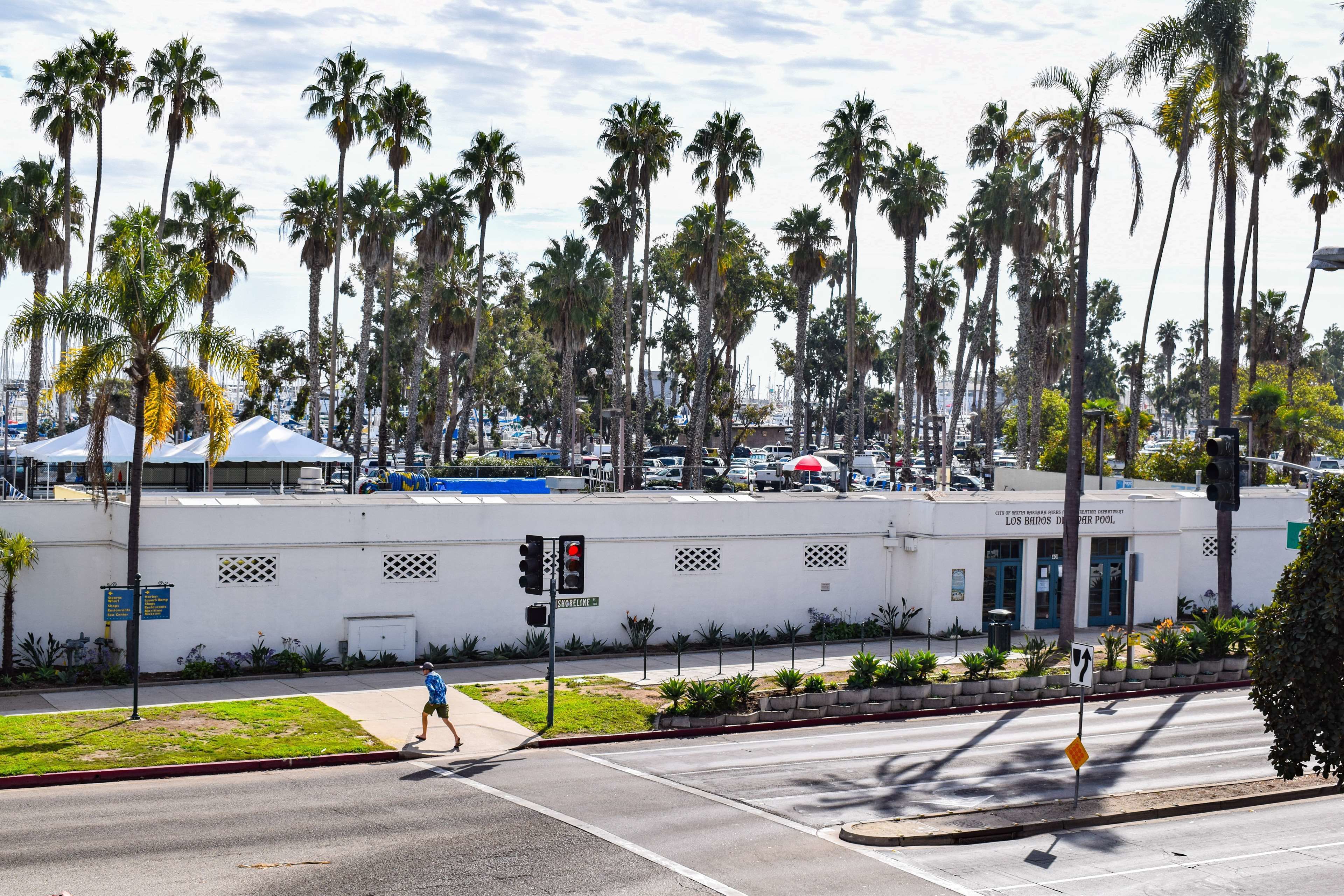 A street view with palm trees, a building with a sign, and a pedestrian crossing.