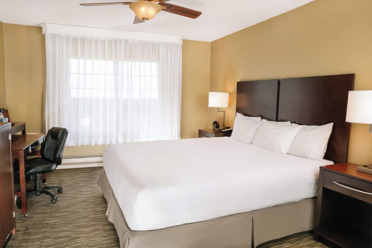 Standard Room, 1 Katil Raja (King), Accessible | Peti besi dalam bilik, dihias secara berasingan
