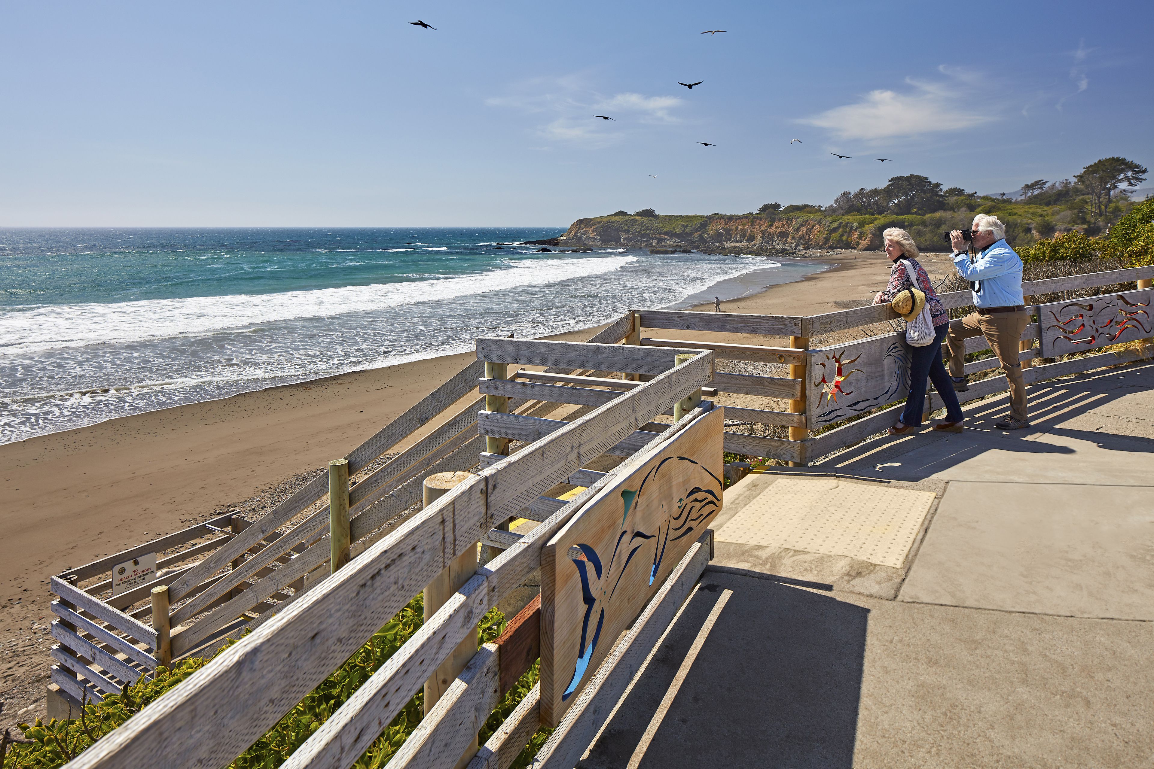 Une promenade en bois, agrémentée de garde-corps, qui surplombe une plage.