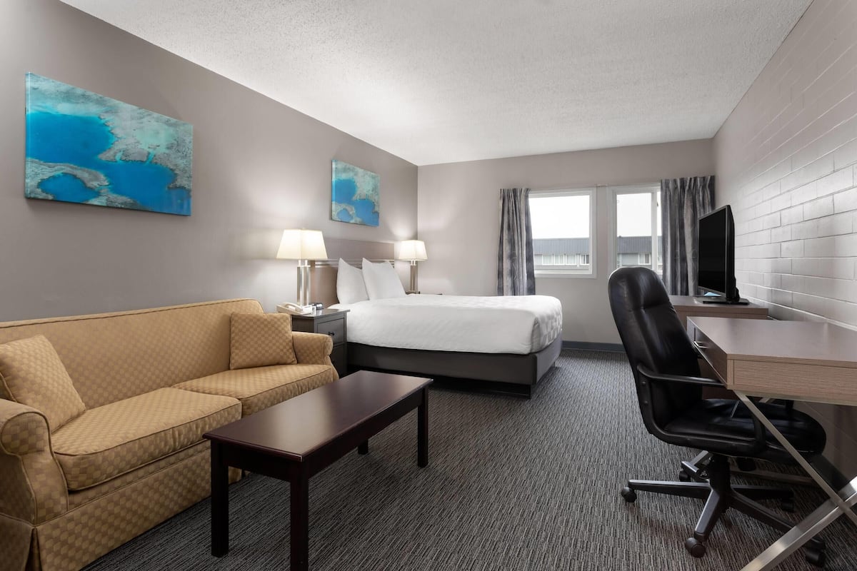 Room, 1 Queen Bed, Non Smoking | Desk, blackout drapes, soundproofing, iron/ironing board