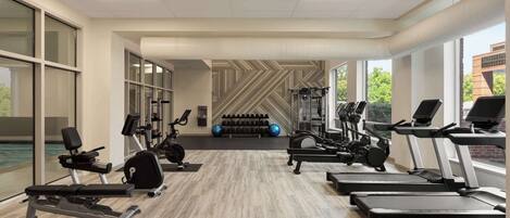 A gym with treadmills, elliptical machines, and free weights.