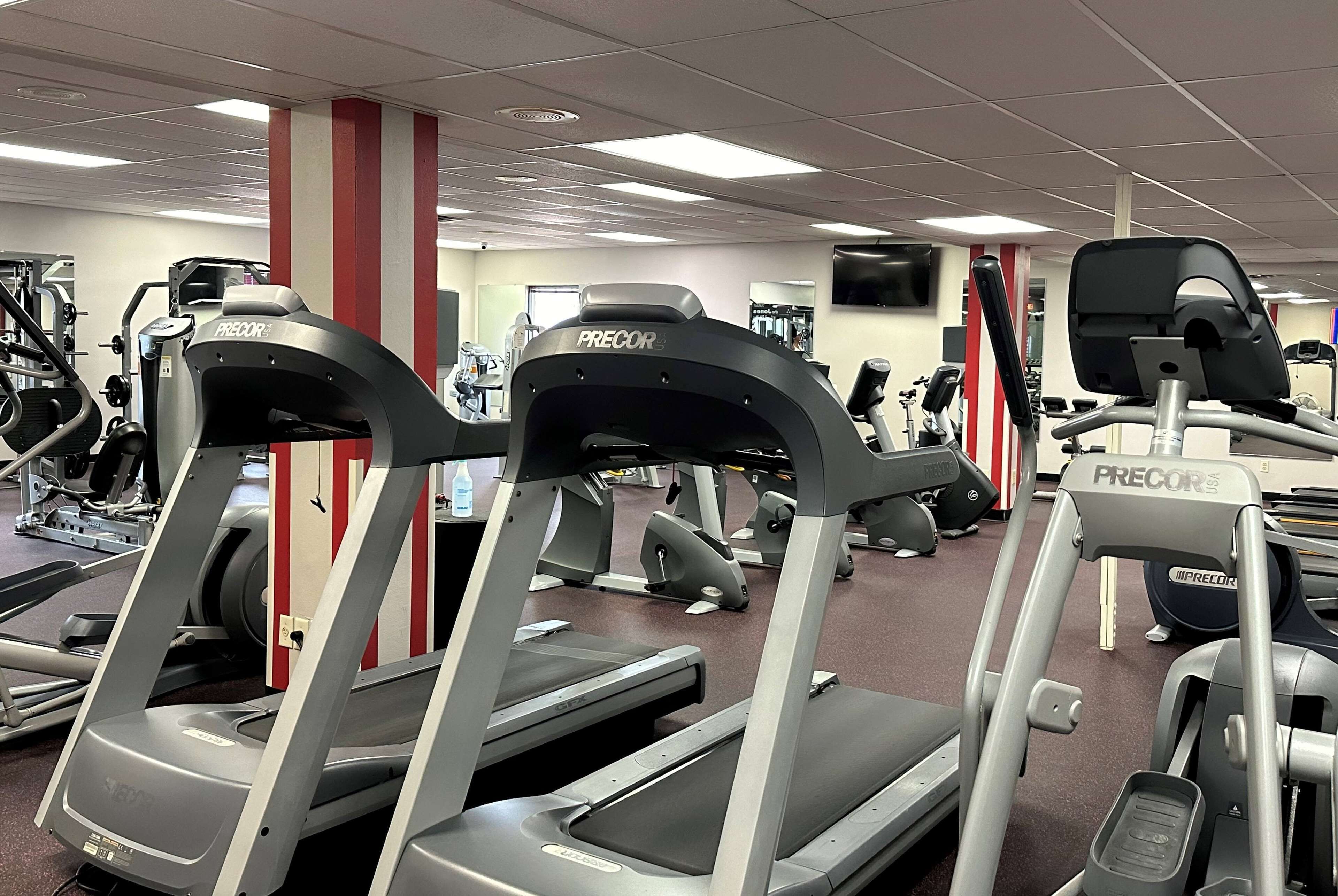 A gym with treadmills, weight machines, and a TV on the wall.
