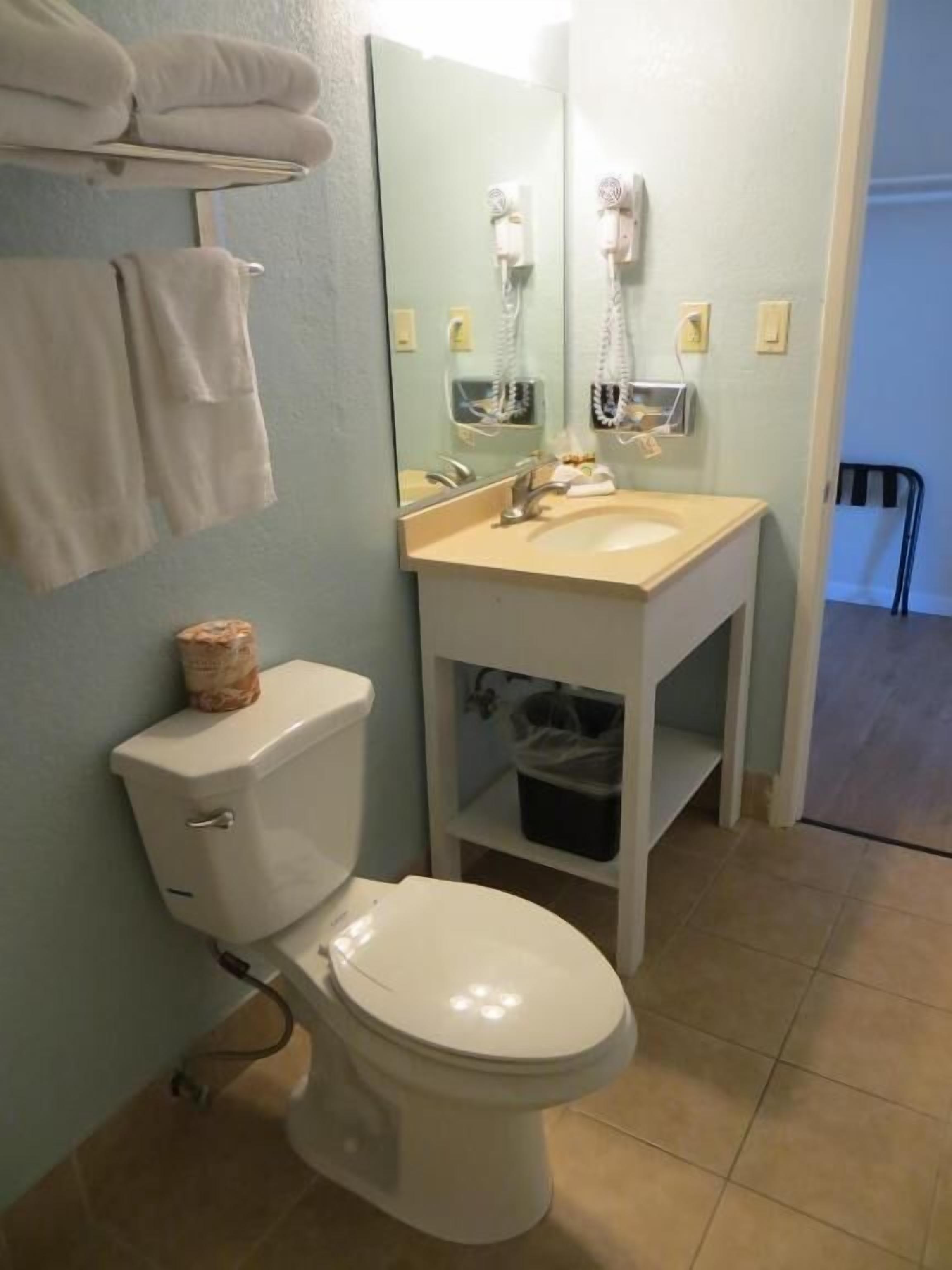 A bathroom with a toilet, sink, and mirror. There are towels hanging on the wall and a trash bin under the sink.