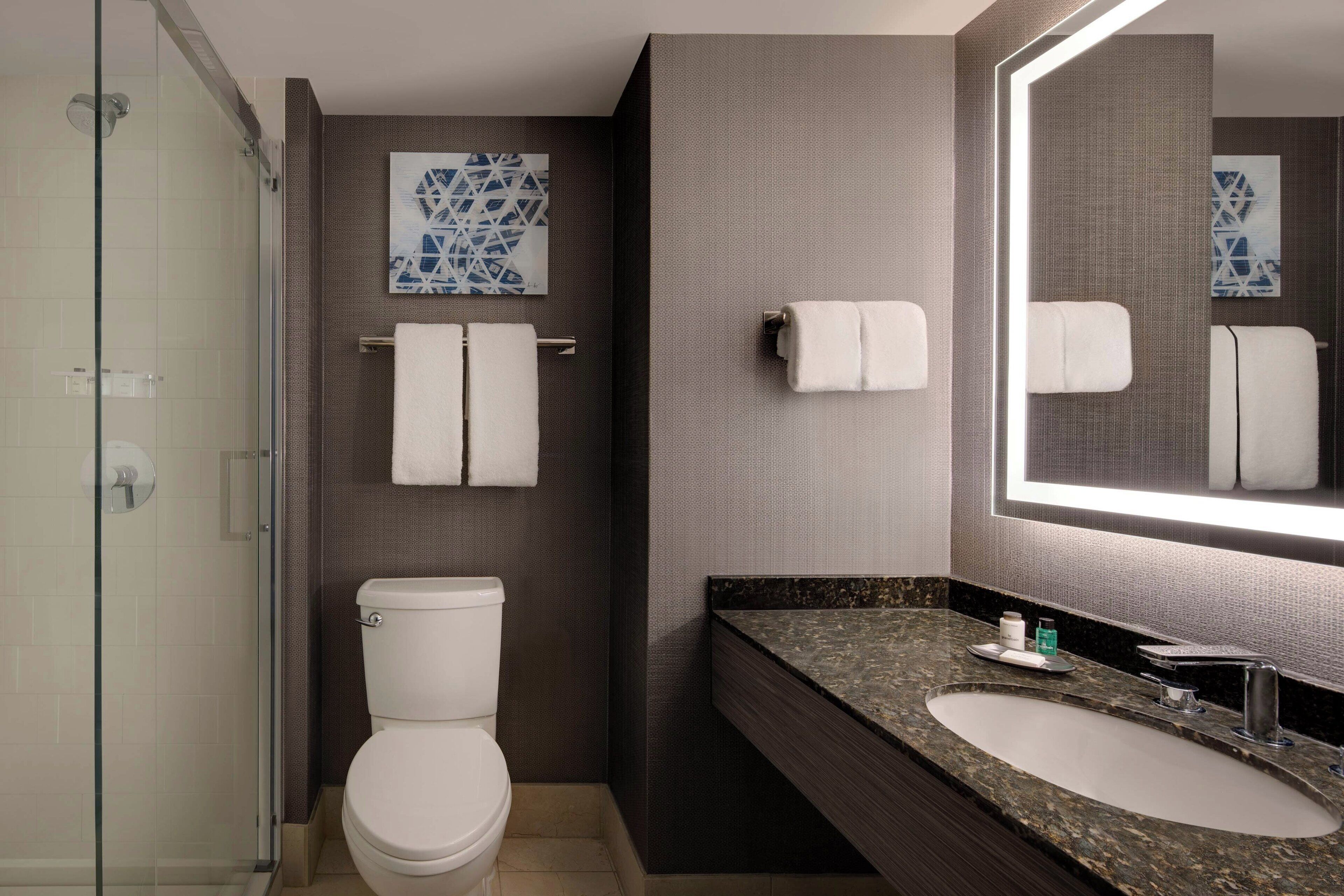 Une salle de bain moderne dotée d’une douche à parois de verre, de toilettes, d’un lavabo avec un plan de travail en granit et d’un grand miroir.