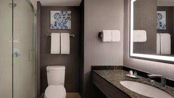 A modern bathroom with a glass shower enclosure, a toilet, a sink with a granite countertop, and a large mirror.