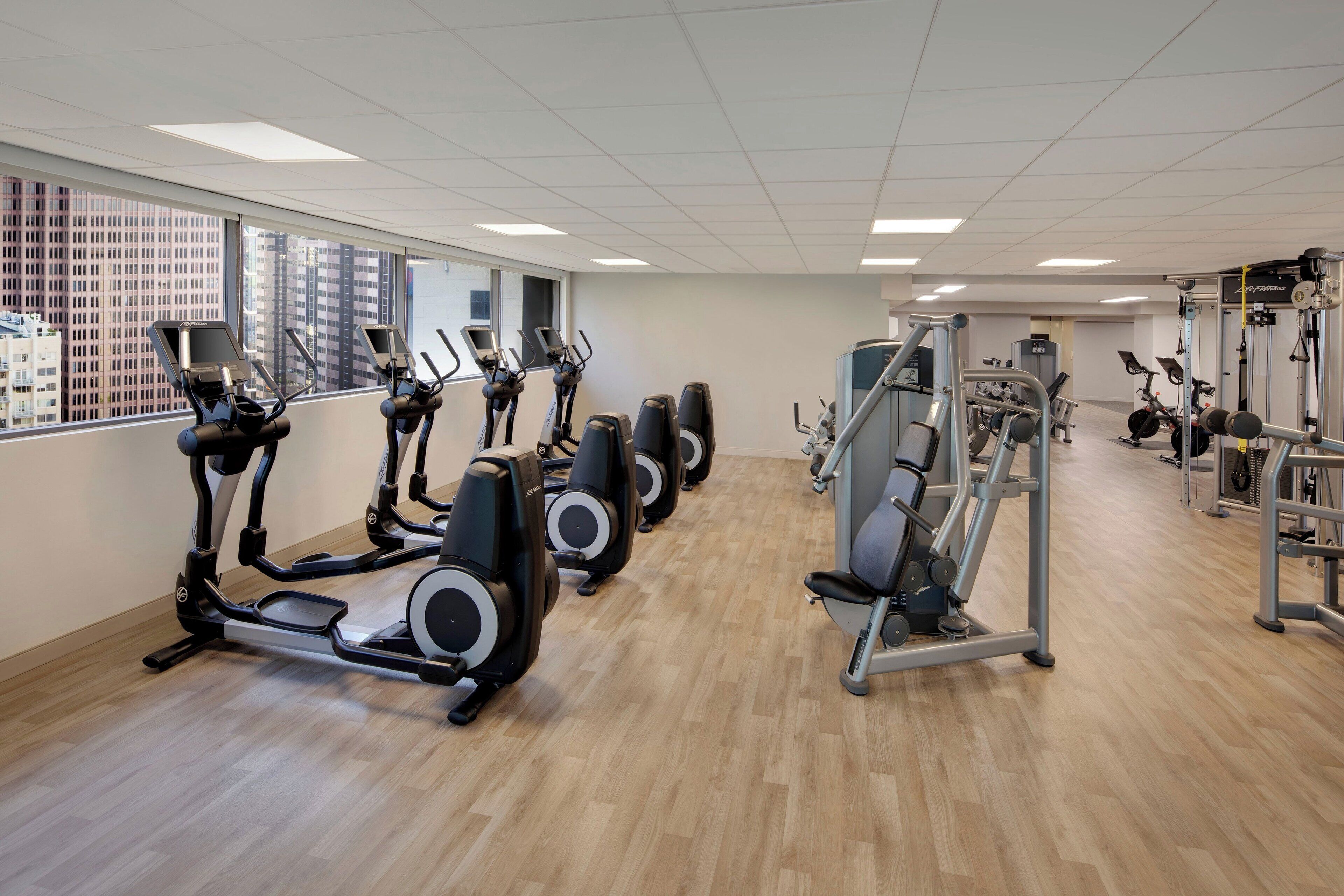 A gym with treadmills, elliptical machines, and weight machines.