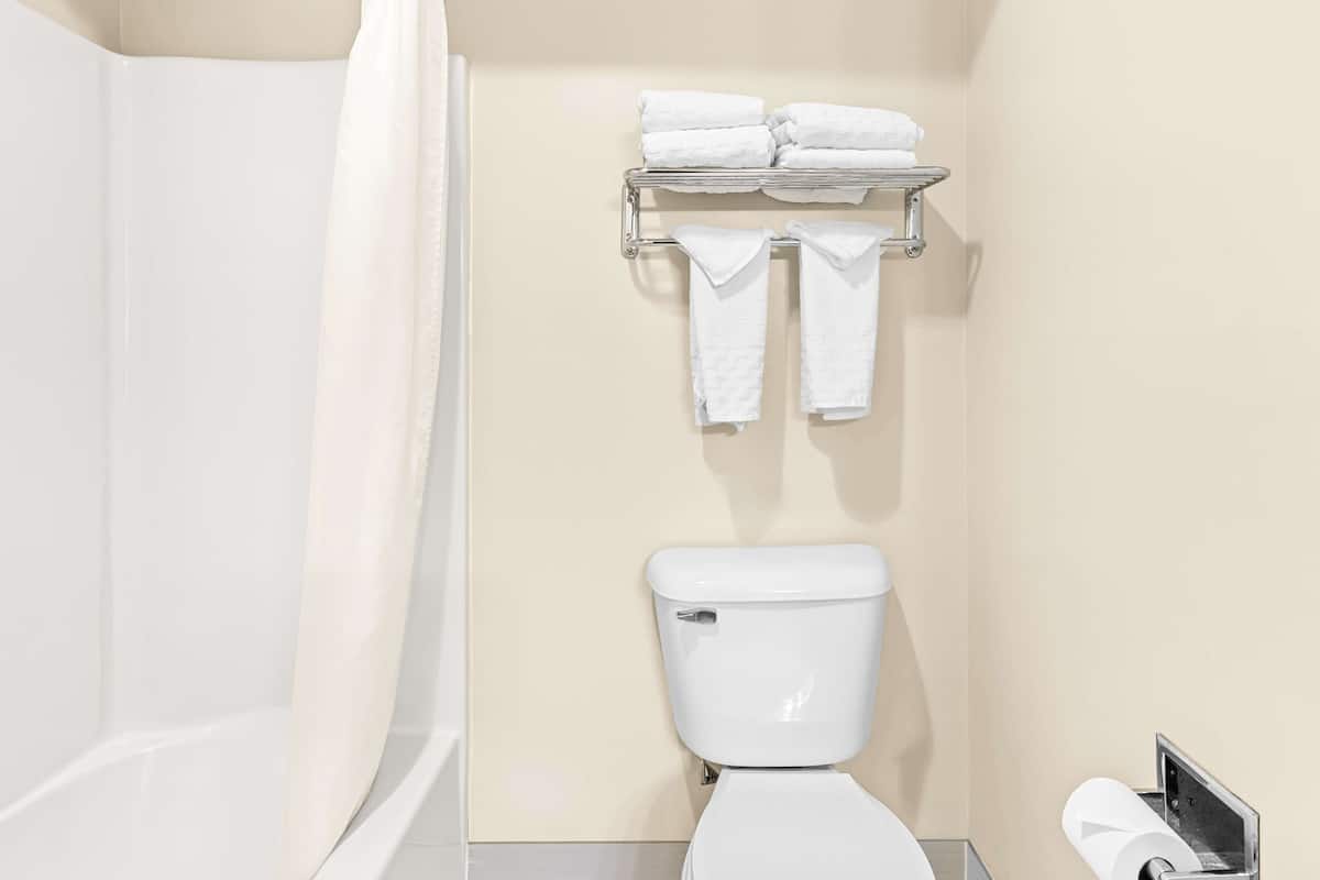 Combined shower/bathtub, free toiletries, hair dryer, towels