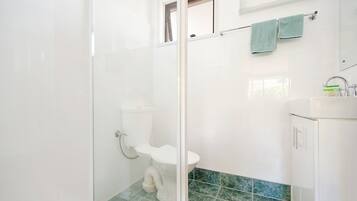 A bathroom with a glass-enclosed shower, a white toilet, and a sink with a mirror.