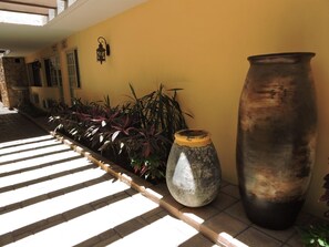 Stroll through a serene corridor lined with potted plants and natural light.