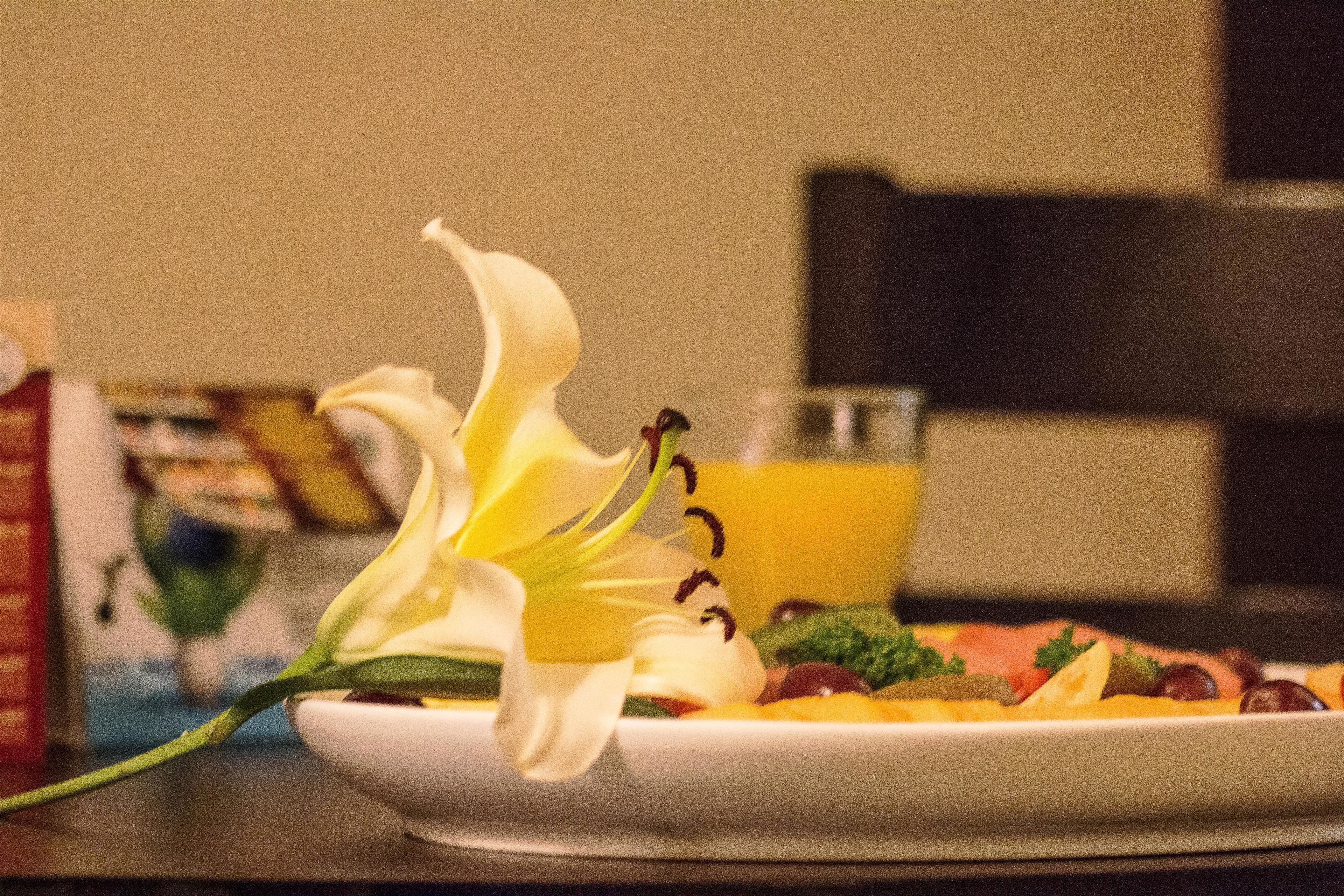 Photo - Best Western Posada Del Rio