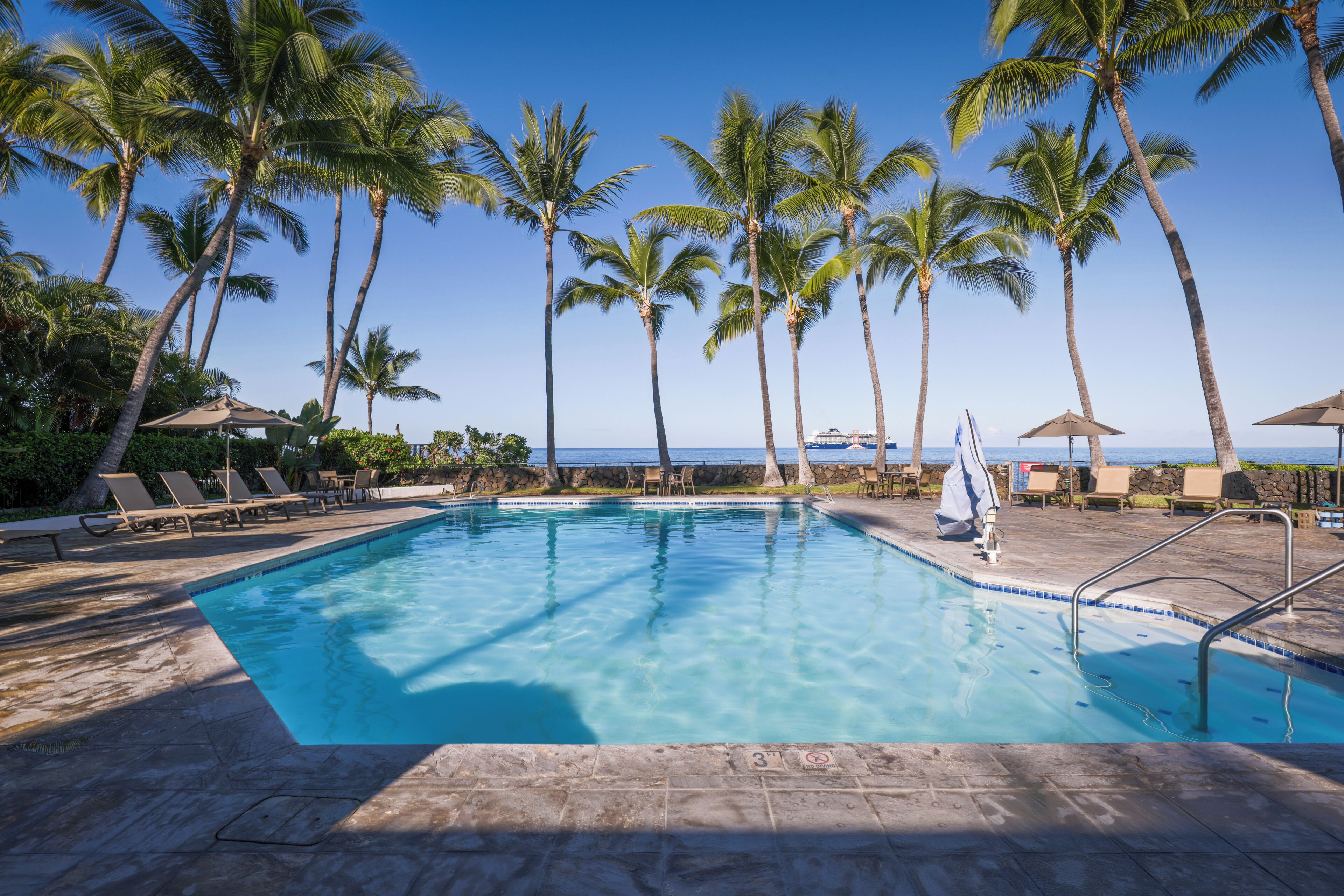 A clear blue pool surrounded by lounge chairs and palm trees, with a view of the ocean.