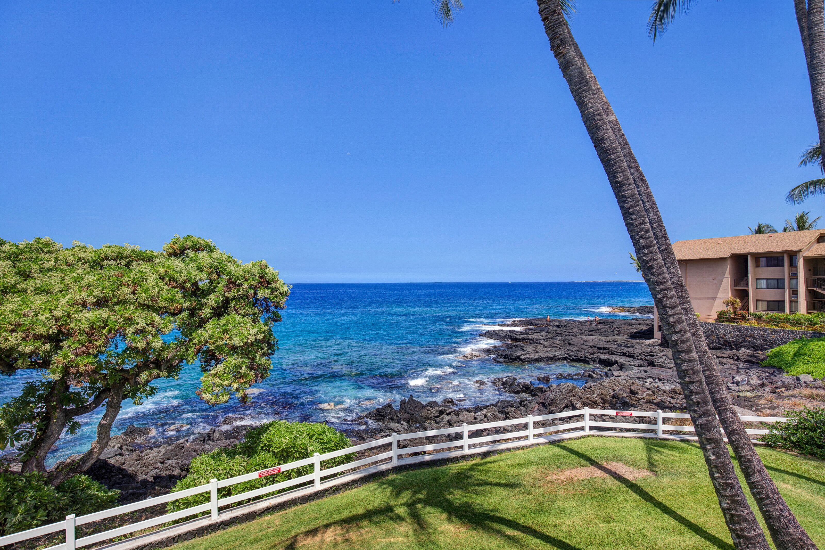 A coastal view with a white fence, palm trees, and a building with a beach view.