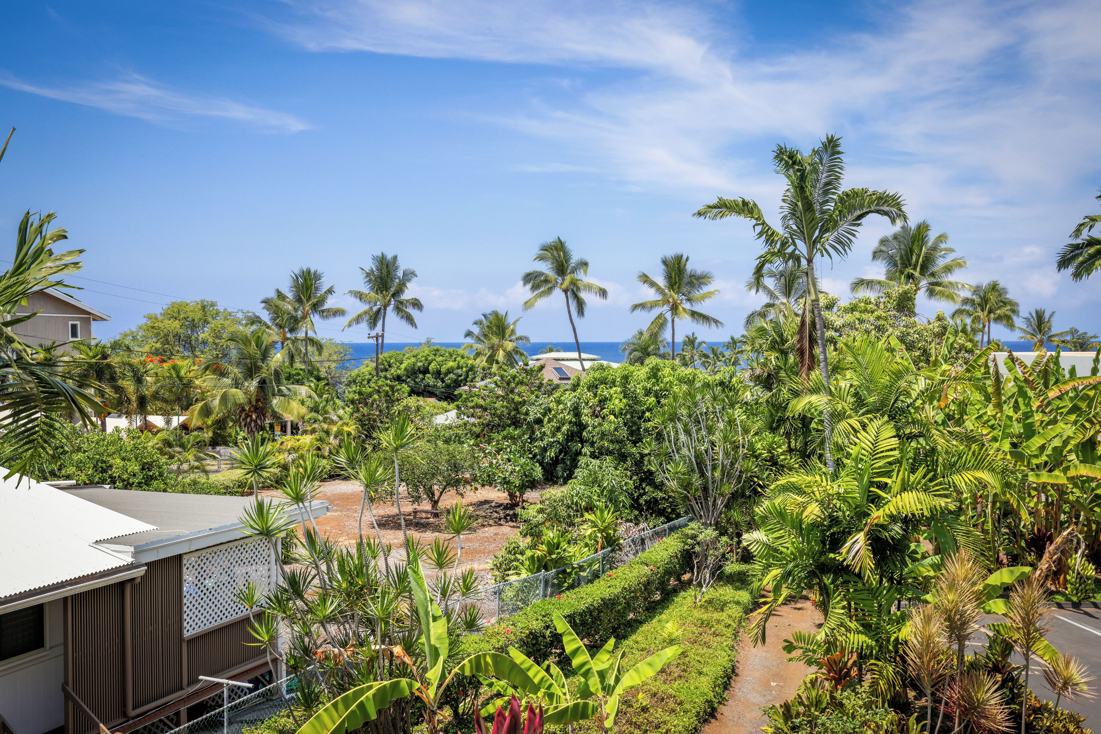 A tropical landscape with a variety of palm trees and lush greenery, a clear blue sky, and a view of the ocean in the background.