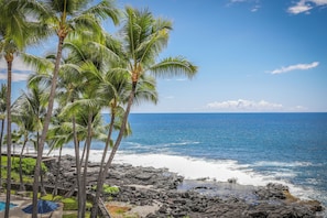 Room, 2 Bedrooms, 2 Bathrooms, Oceanfront (Unit 314) | Beach/ocean view