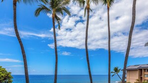 A coastal scene with tall palm trees, a clear blue sky, and a building with a flat roof near the water.