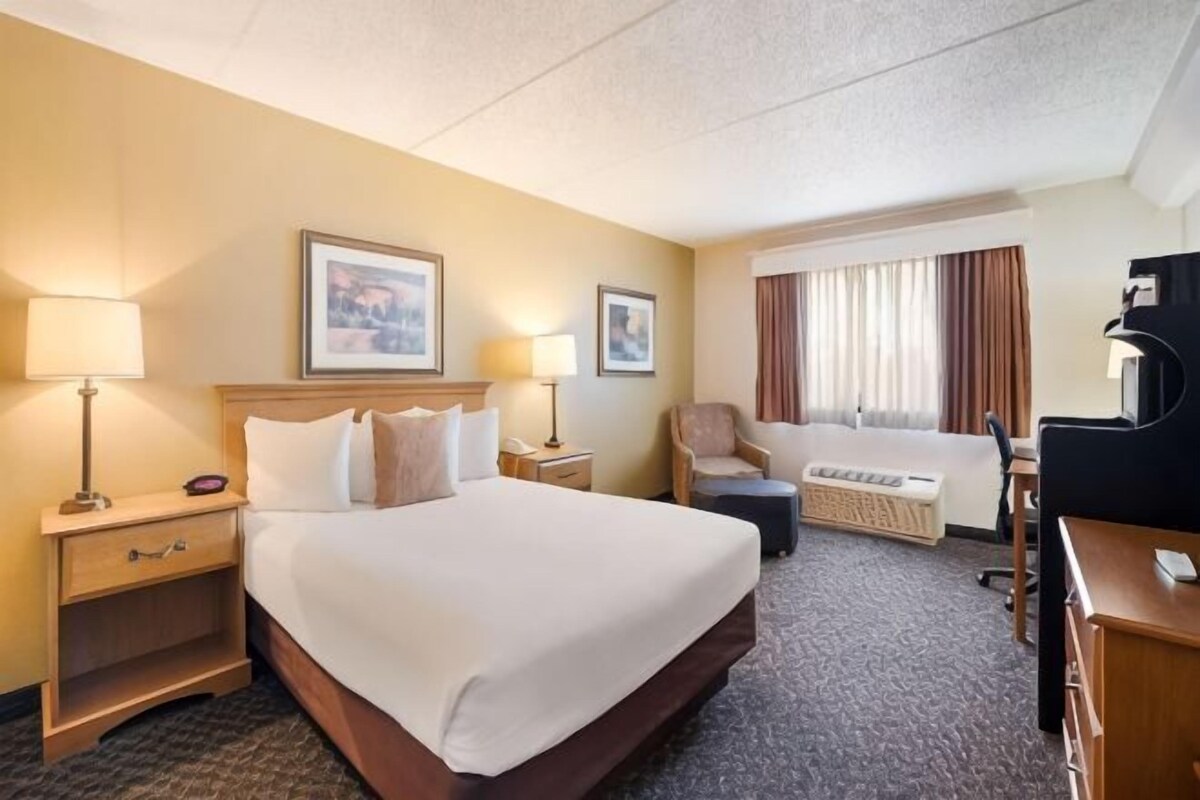 A hotel room with a large bed, two bedside tables, a desk with a chair, a TV, and a window with curtains.
