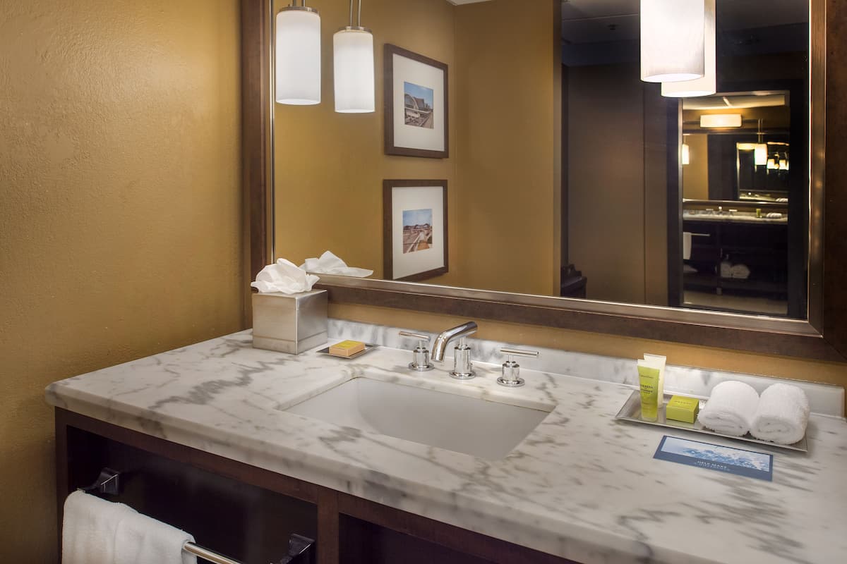 combined shower/bathtub, free toiletries, hair dryer, towels