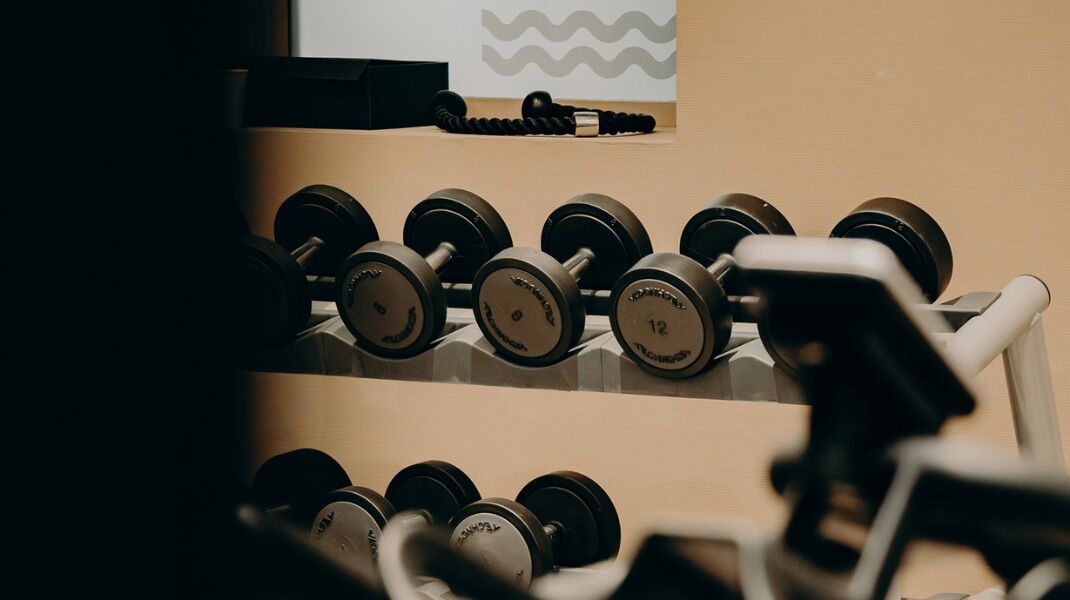 A row of dumbbells on a rack in a gym.