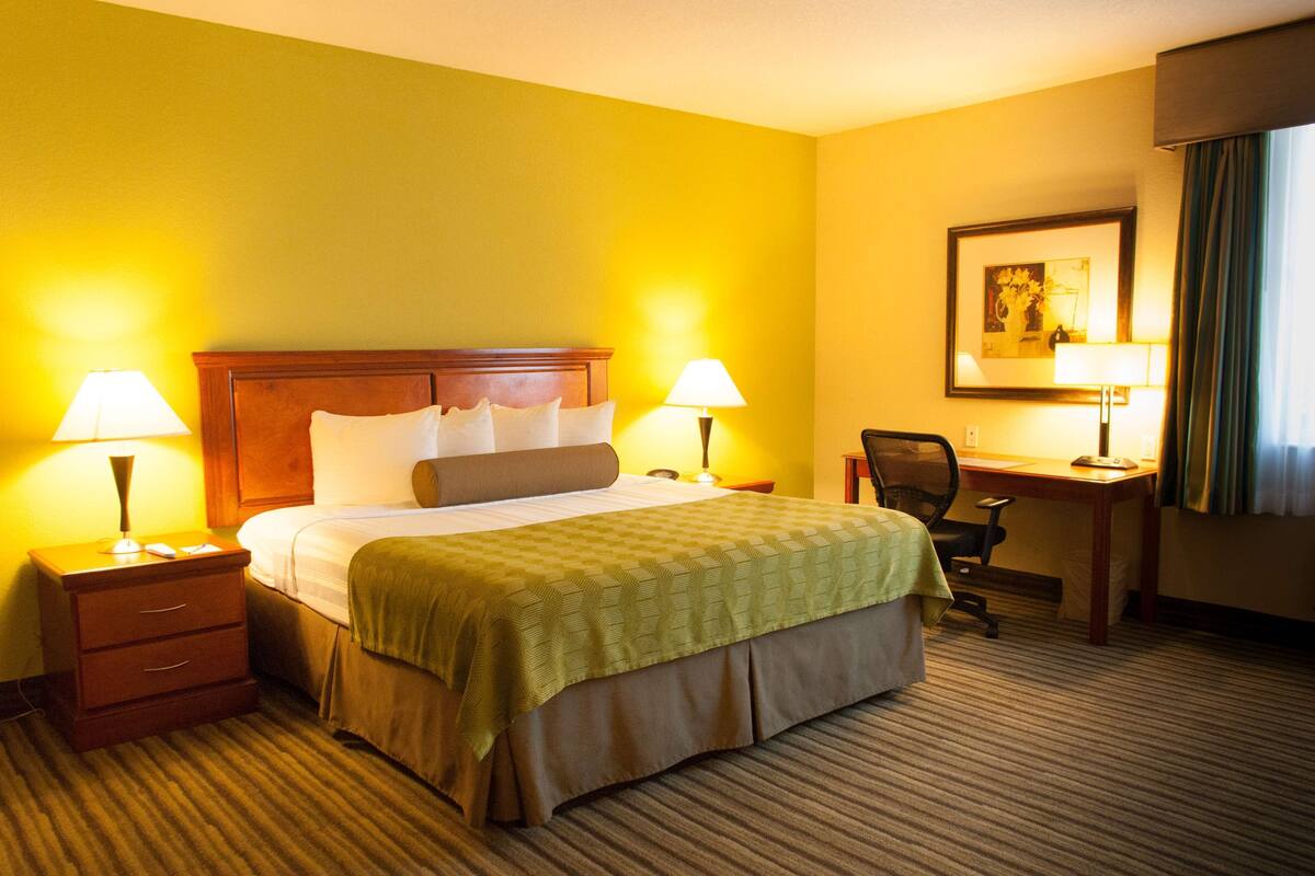 Une chambre d’hôtel avec un grand lit, deux tables de chevet avec des lampes, un bureau, une chaise et un tableau encadré au mur.