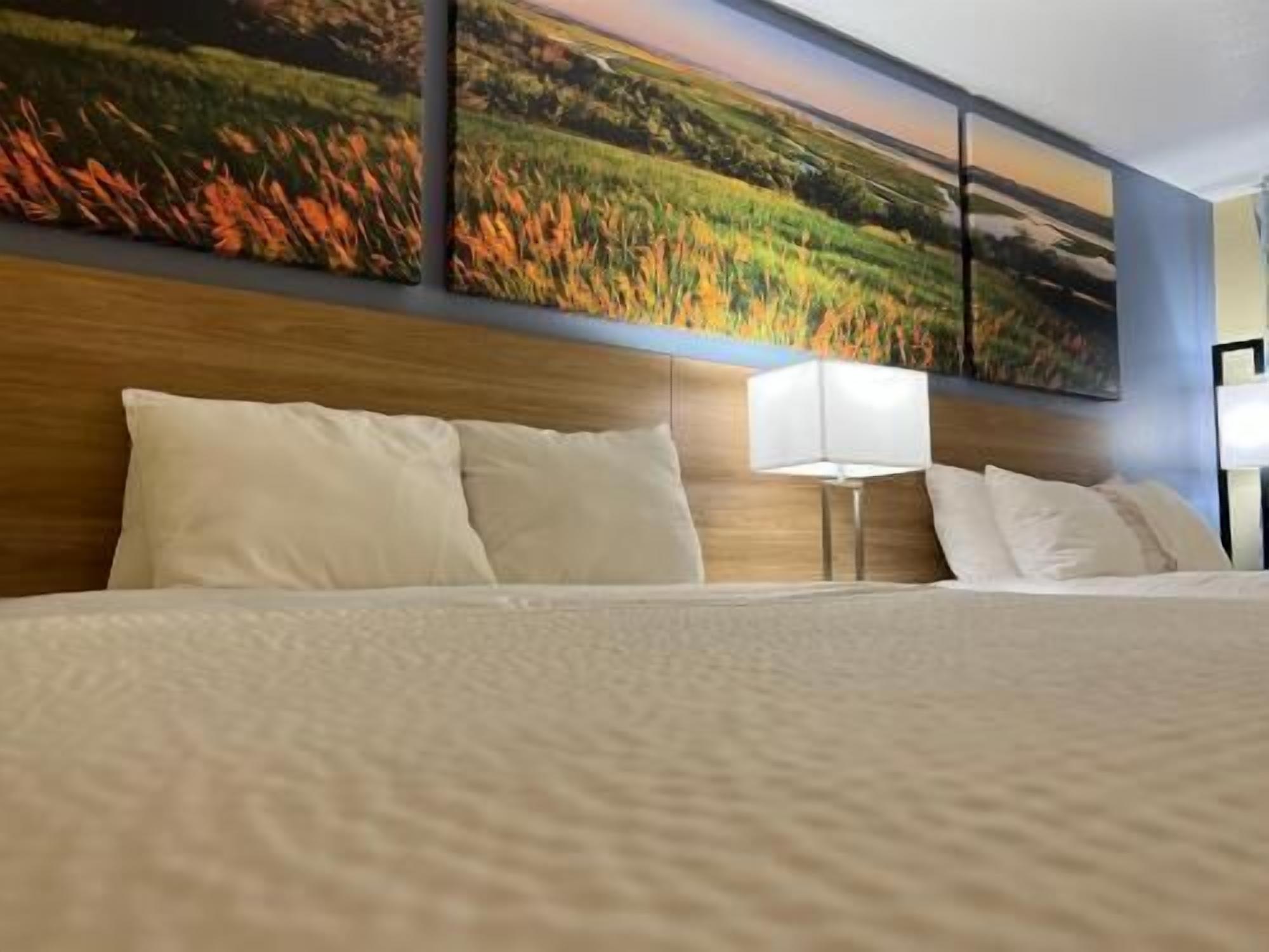 책상, 다리미/다리미판, 무료 WiFi, 침대 시트