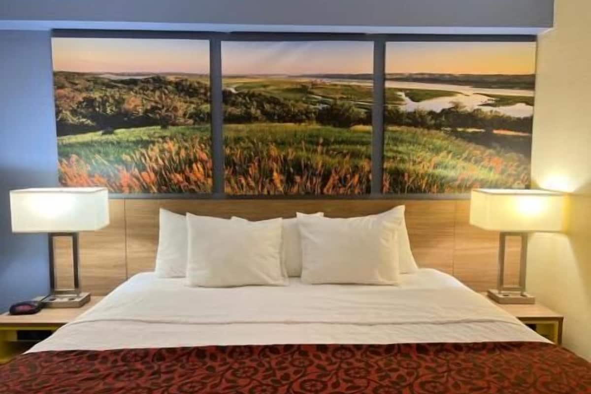 Desk, iron/ironing board, free WiFi, bed sheets