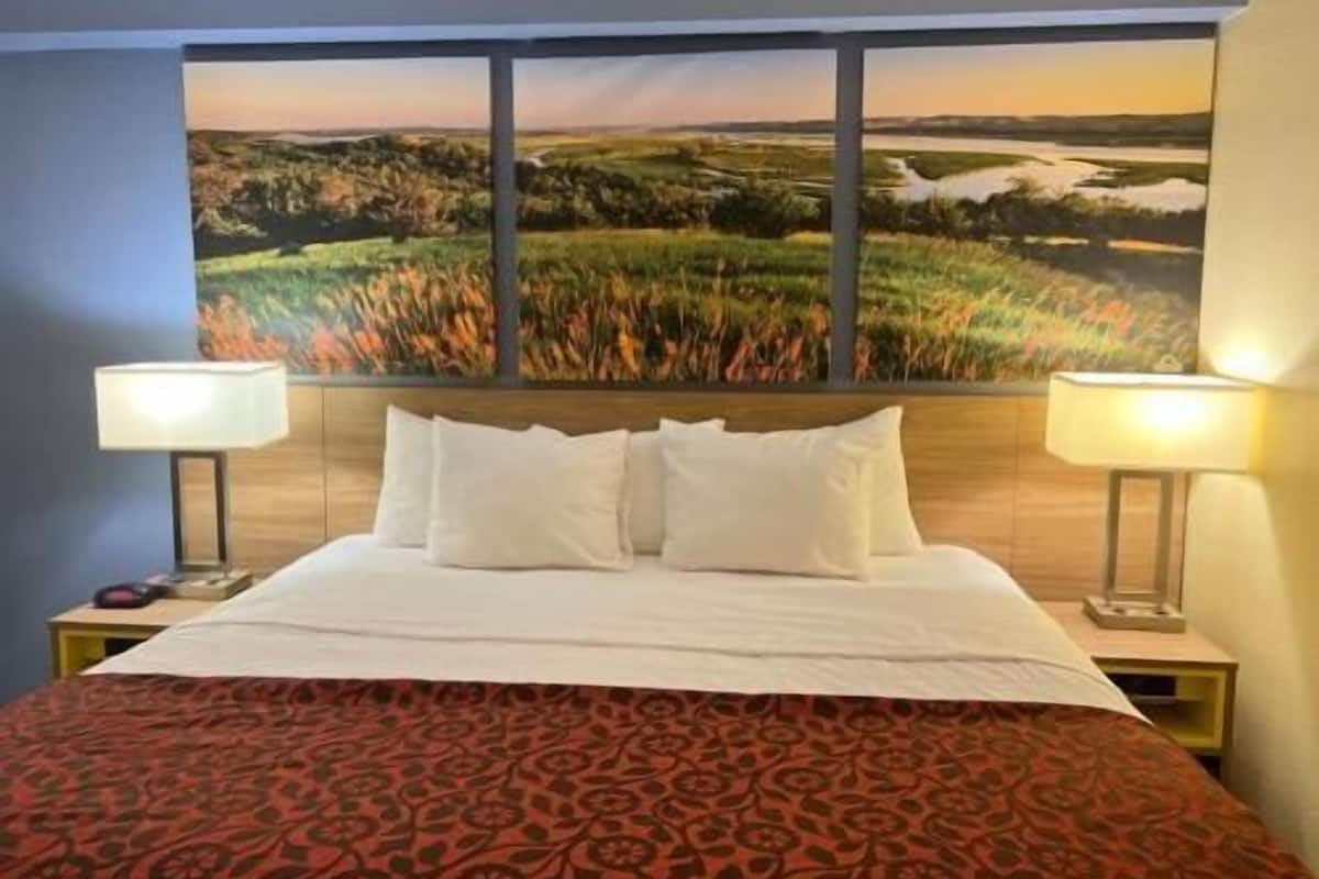 Desk, iron/ironing board, free WiFi, bed sheets