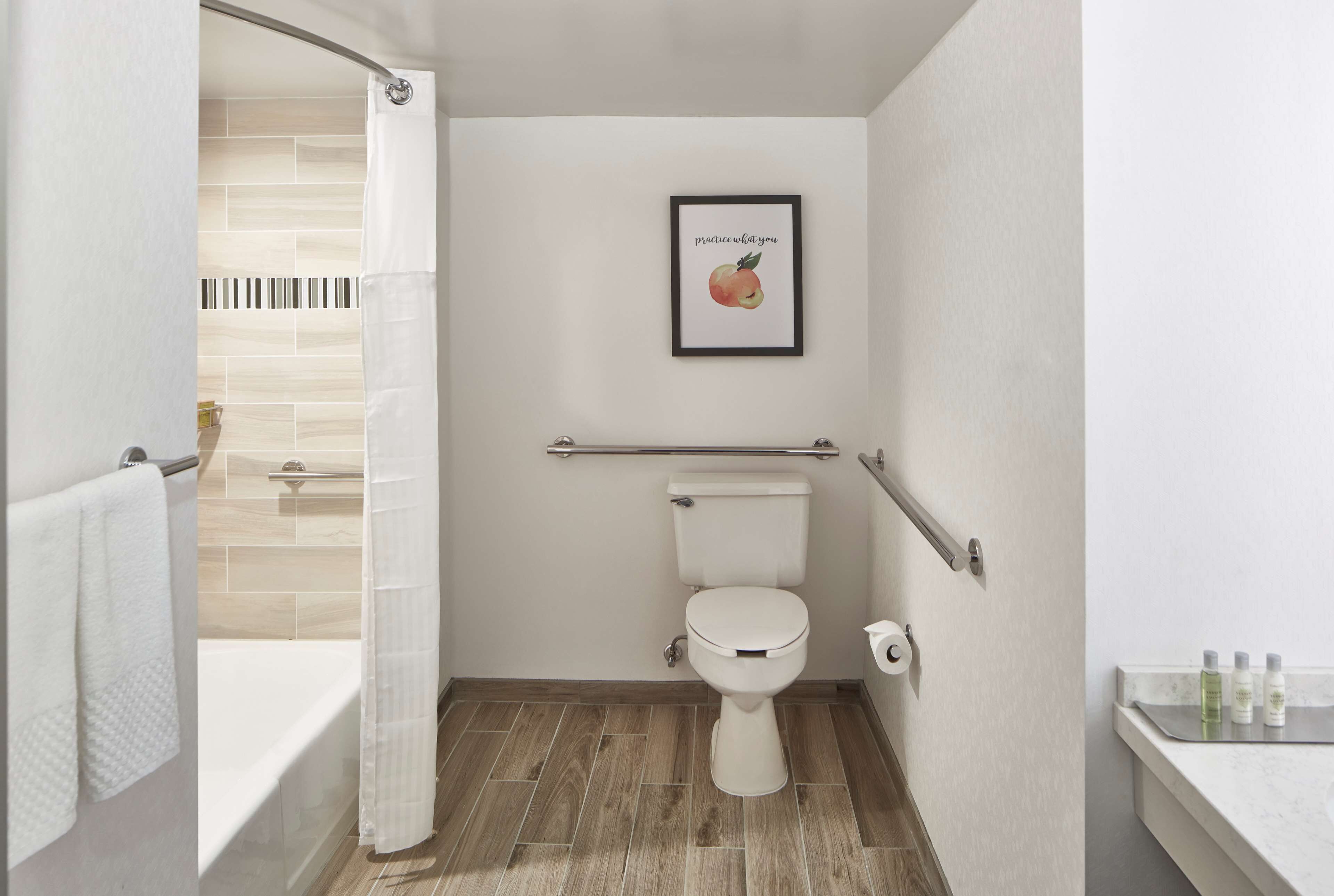 A modern bathroom with a toilet, a shower curtain, a framed picture on the wall, and a handrail.