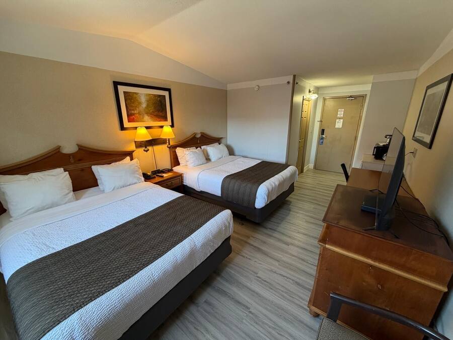 Habitació d'hotel amb dos llits, un escriptori, una cadira, una televisió i un quadre a la paret.
