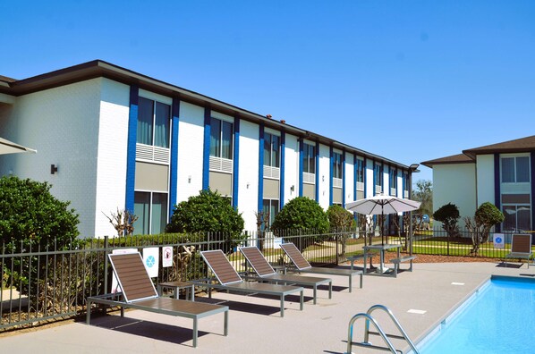 Outdoor pool, sun loungers