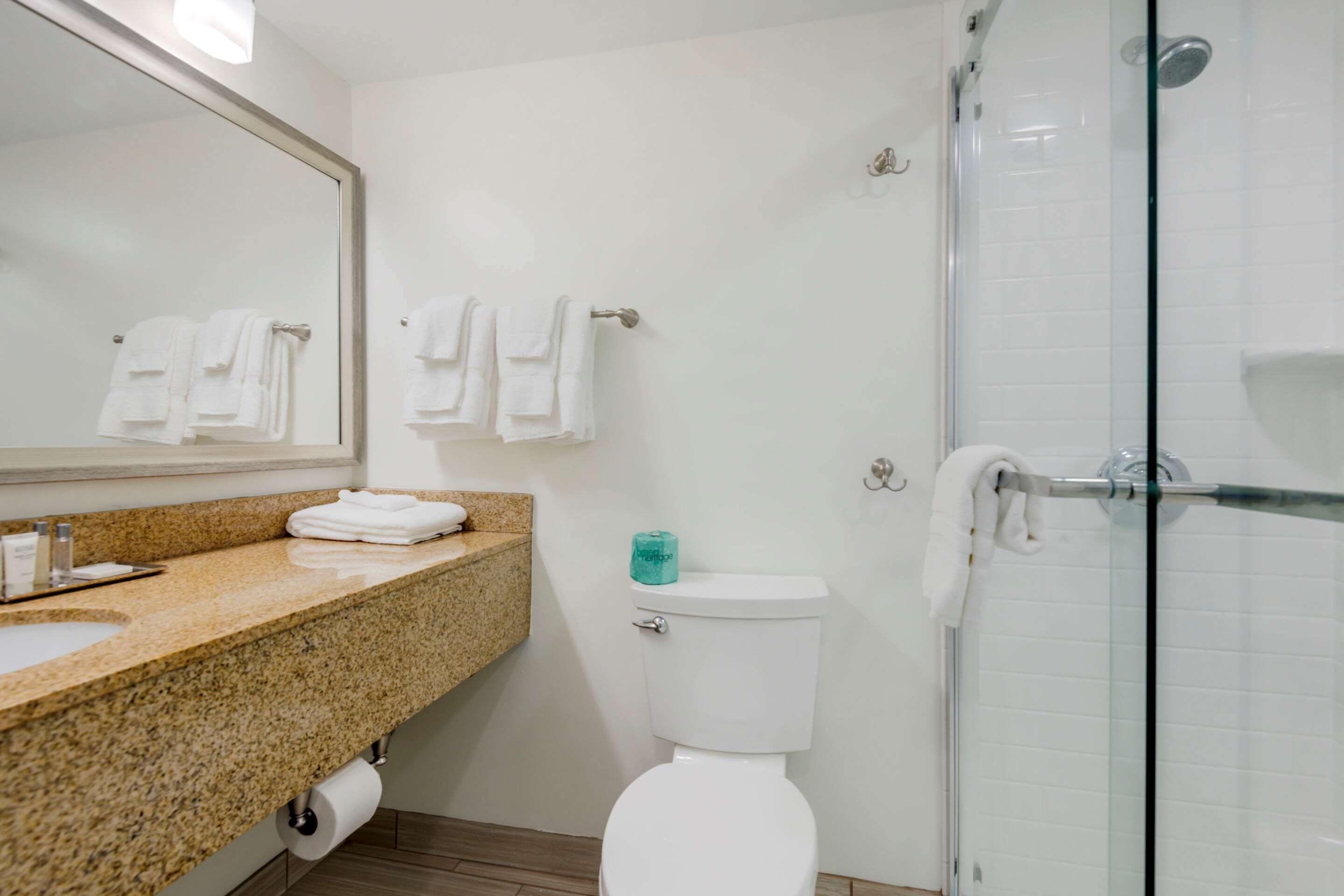 A bathroom with a granite countertop, a toilet, a glass shower enclosure, and a mirror.