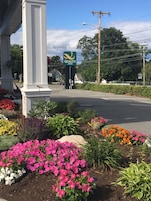 A Quality Inn sign, a road with a pedestrian crossing, and a flower garden.